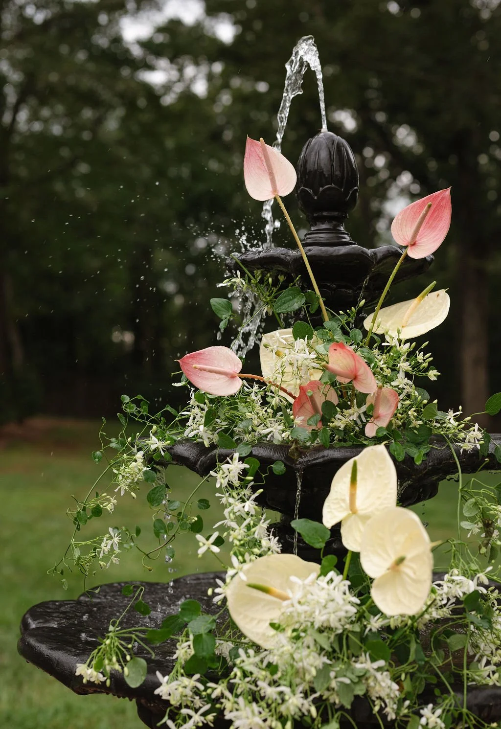 twp-GROVEFLORAL-2.jpg