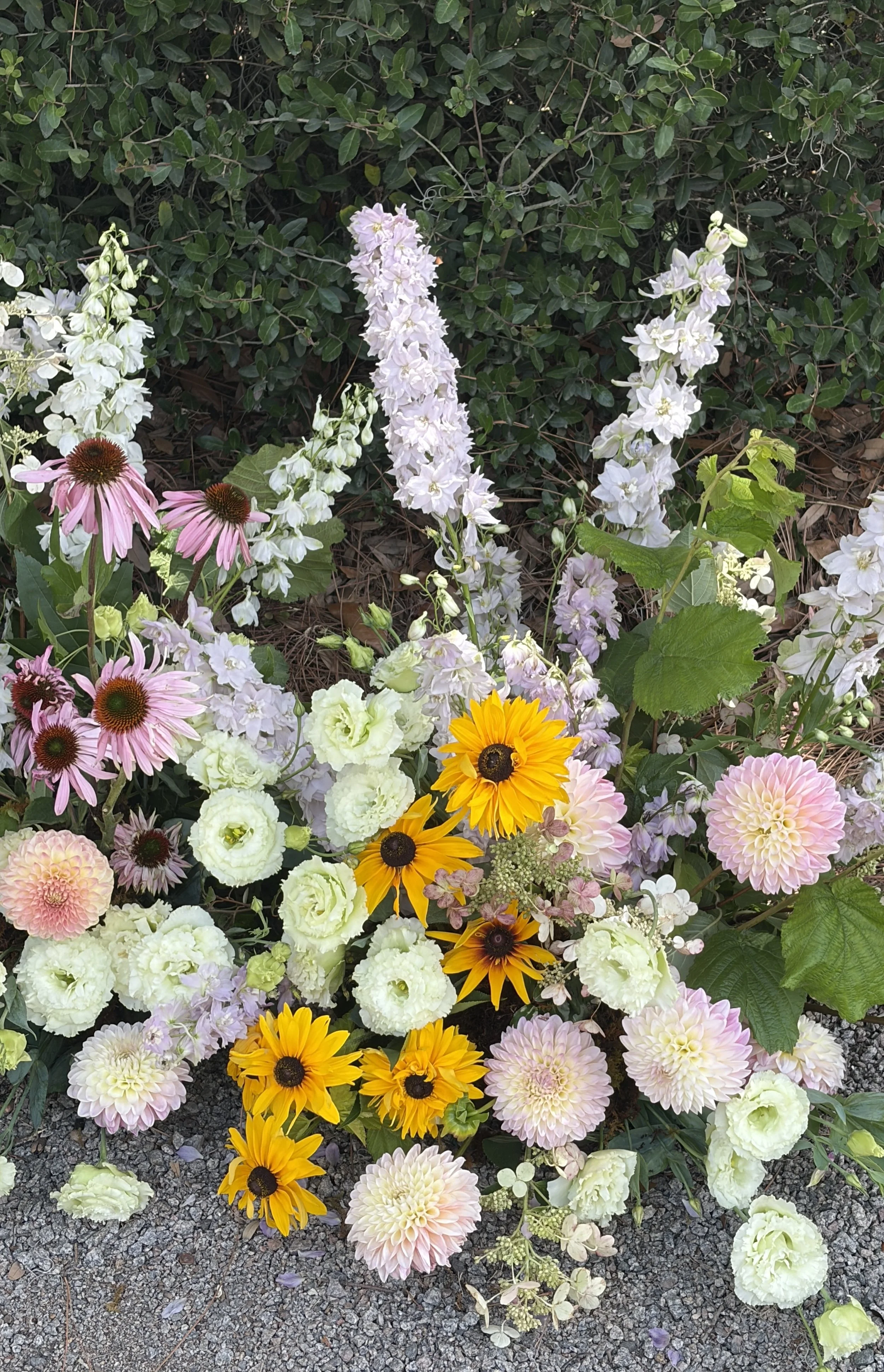 A variety of colorful flowers including pink daisies, yellow sunflowers, and white blossoms in a garden.