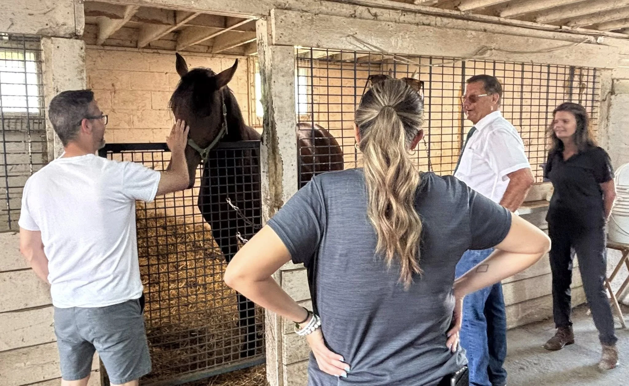 Tymal Farms Returns To London Sale