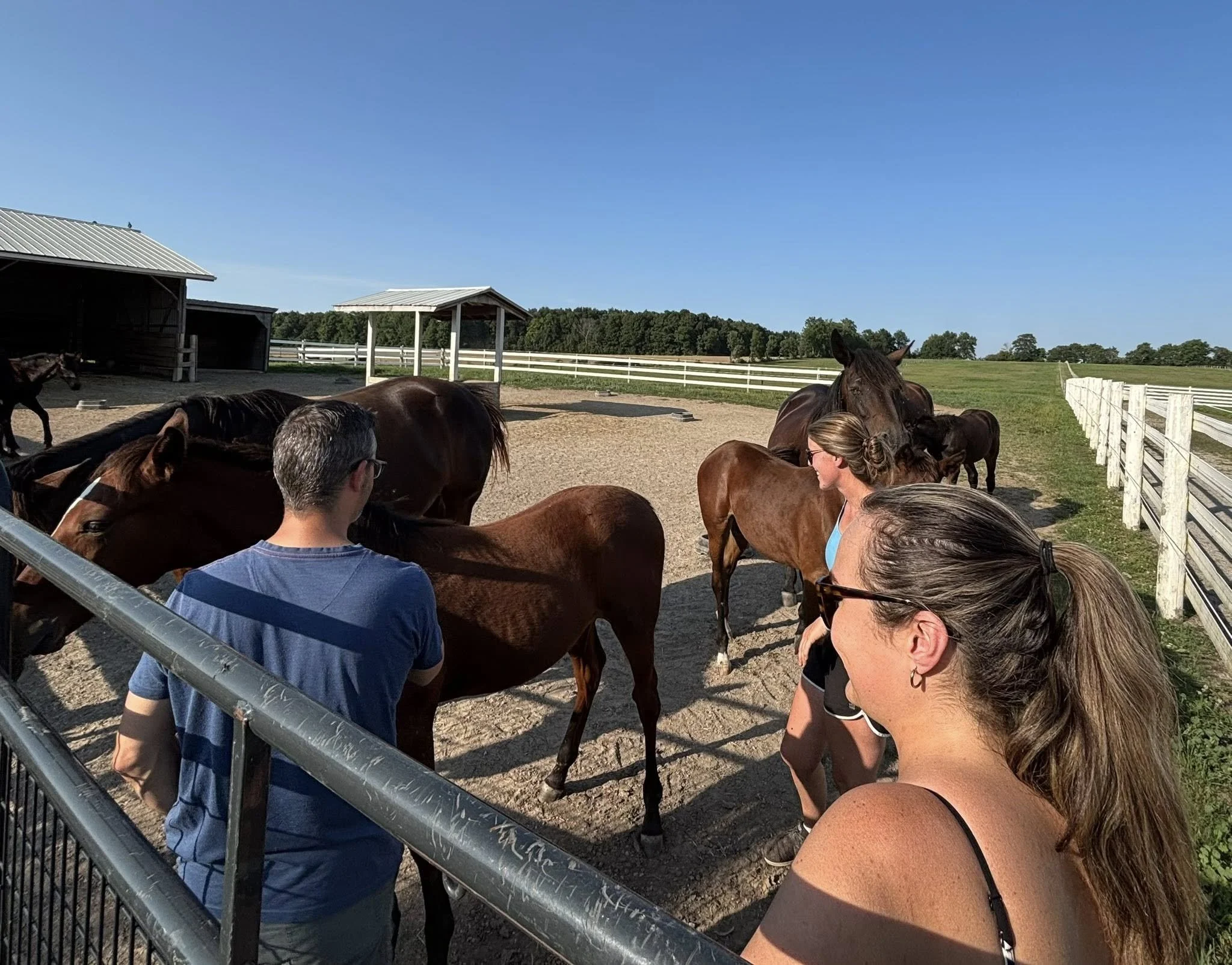 Twinbrook Farms Returns To The London Classic Yearling Sale This Fall