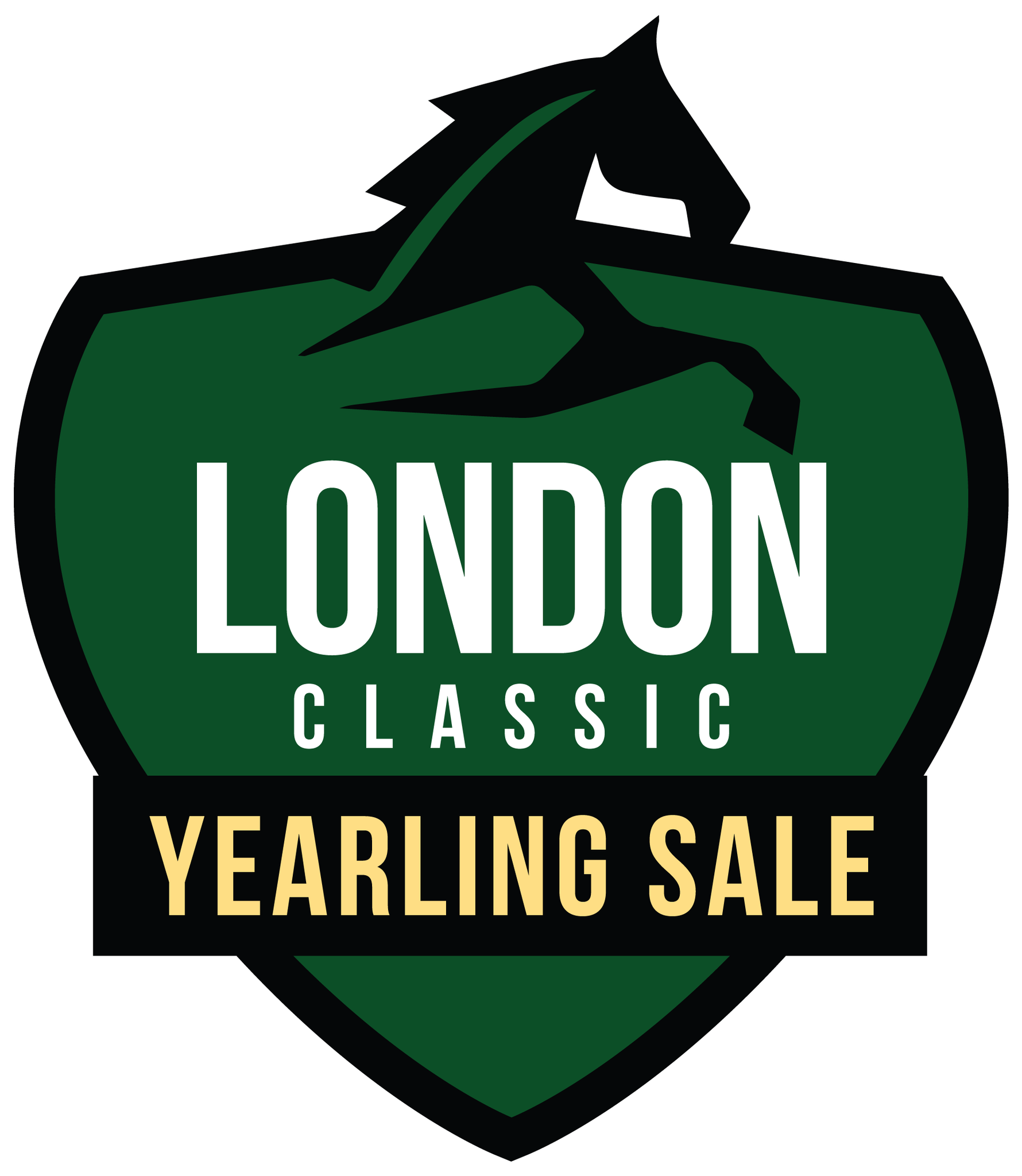 Yearling Spotlight: Lucky 7’s - Day One