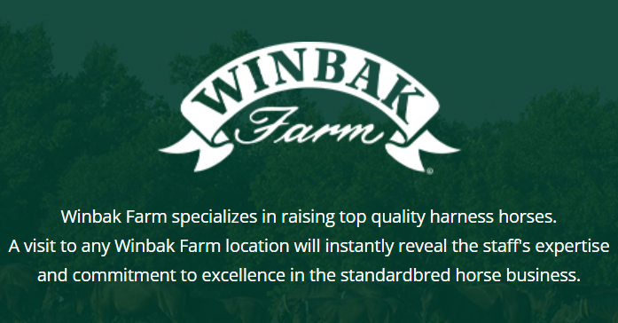 Yearling Spotlight: Winbak Farm