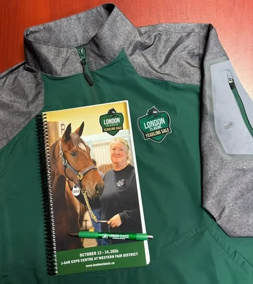 London Classic Yearling Sale Catalogue Now Online