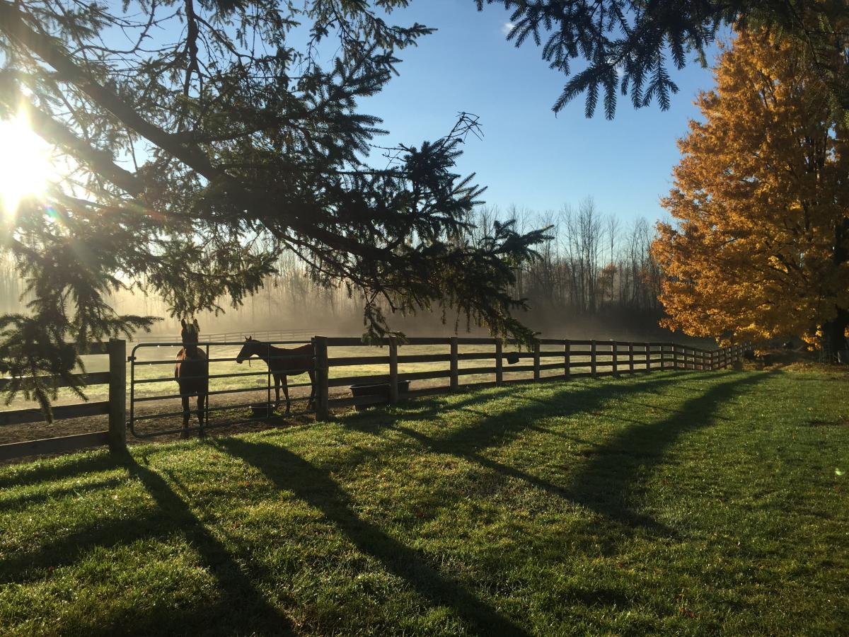 Yearling Spotlight: Dean &amp; Ashley Wilson