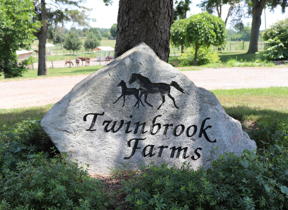 Yearling Spotlight: Twinbrook Farms