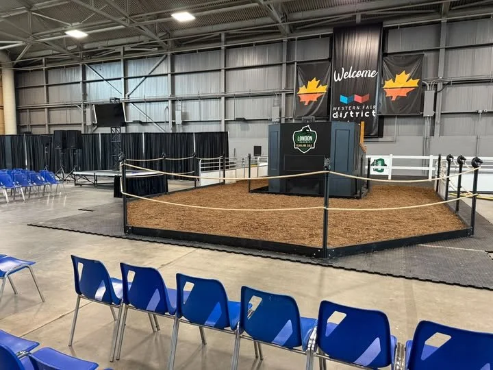 London Classic Yearling Sale