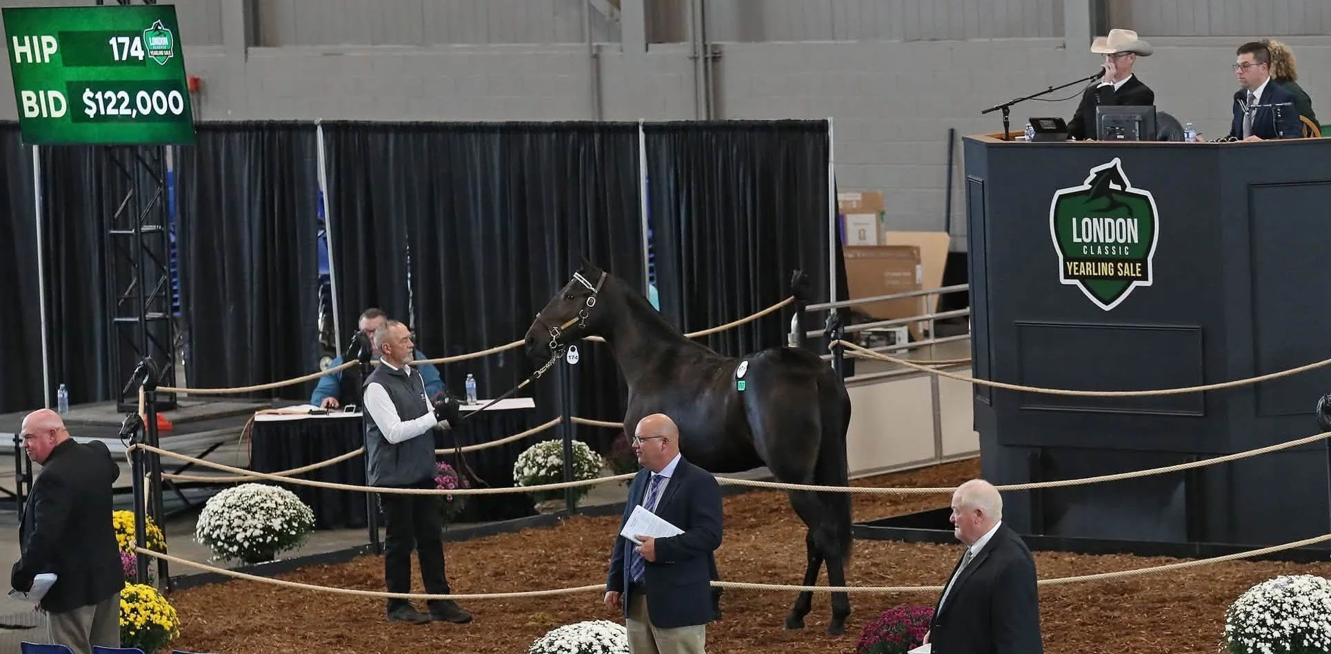 Shes So Sharp Tops Second London Classic Yearling Sale Session