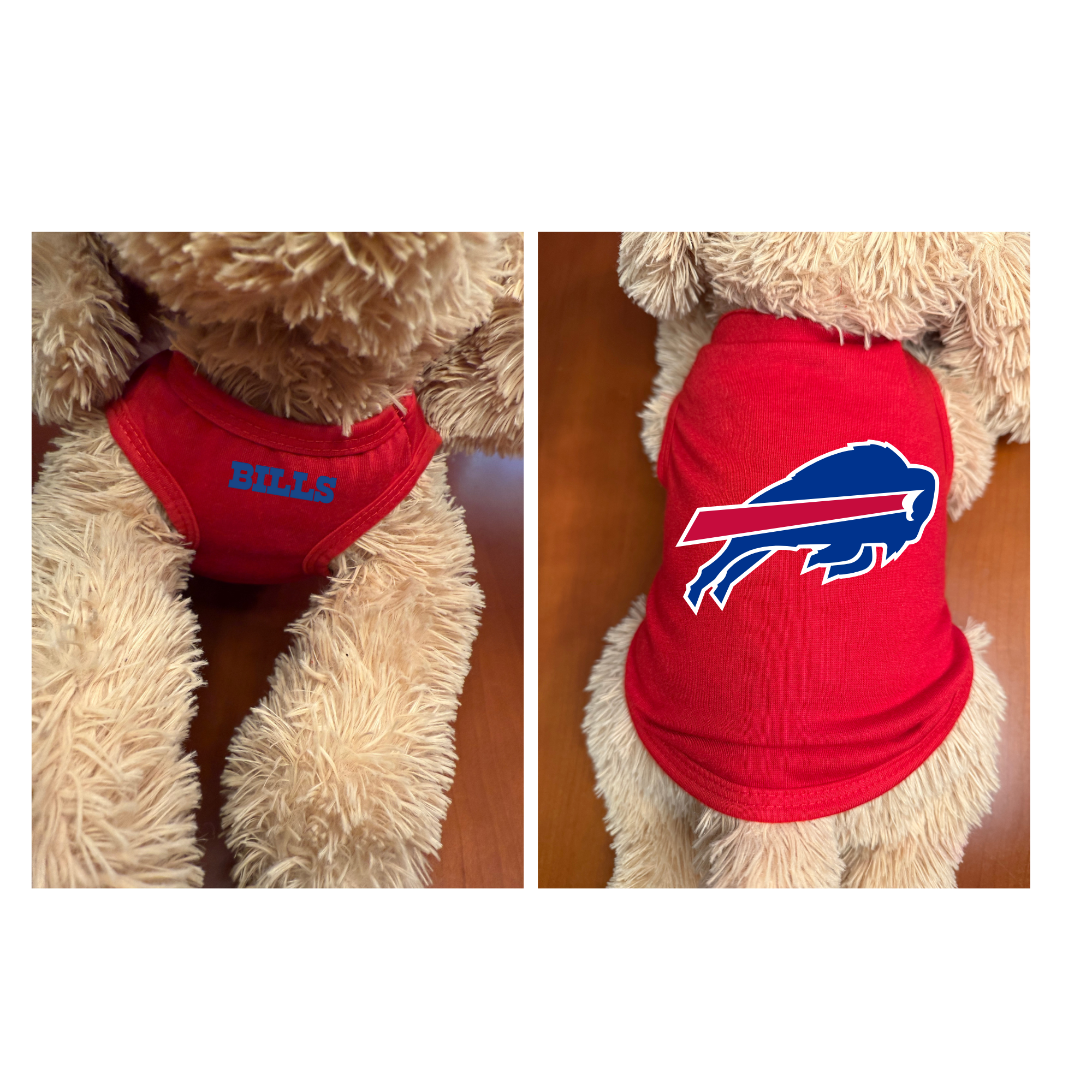 bills (1).png
