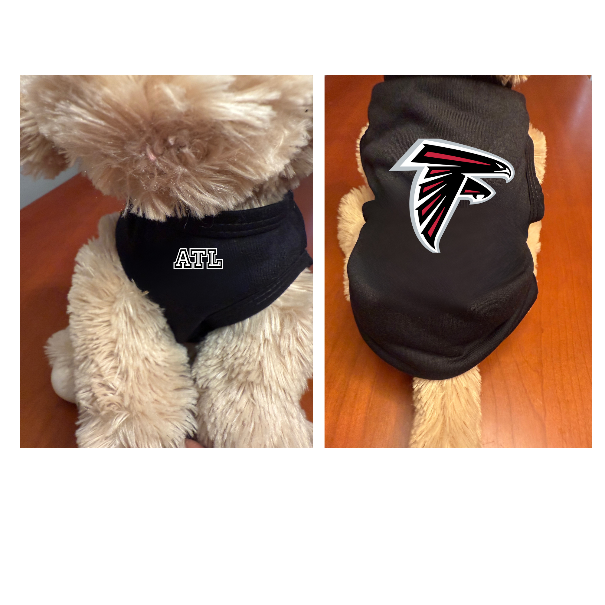 falcons small rise up.png