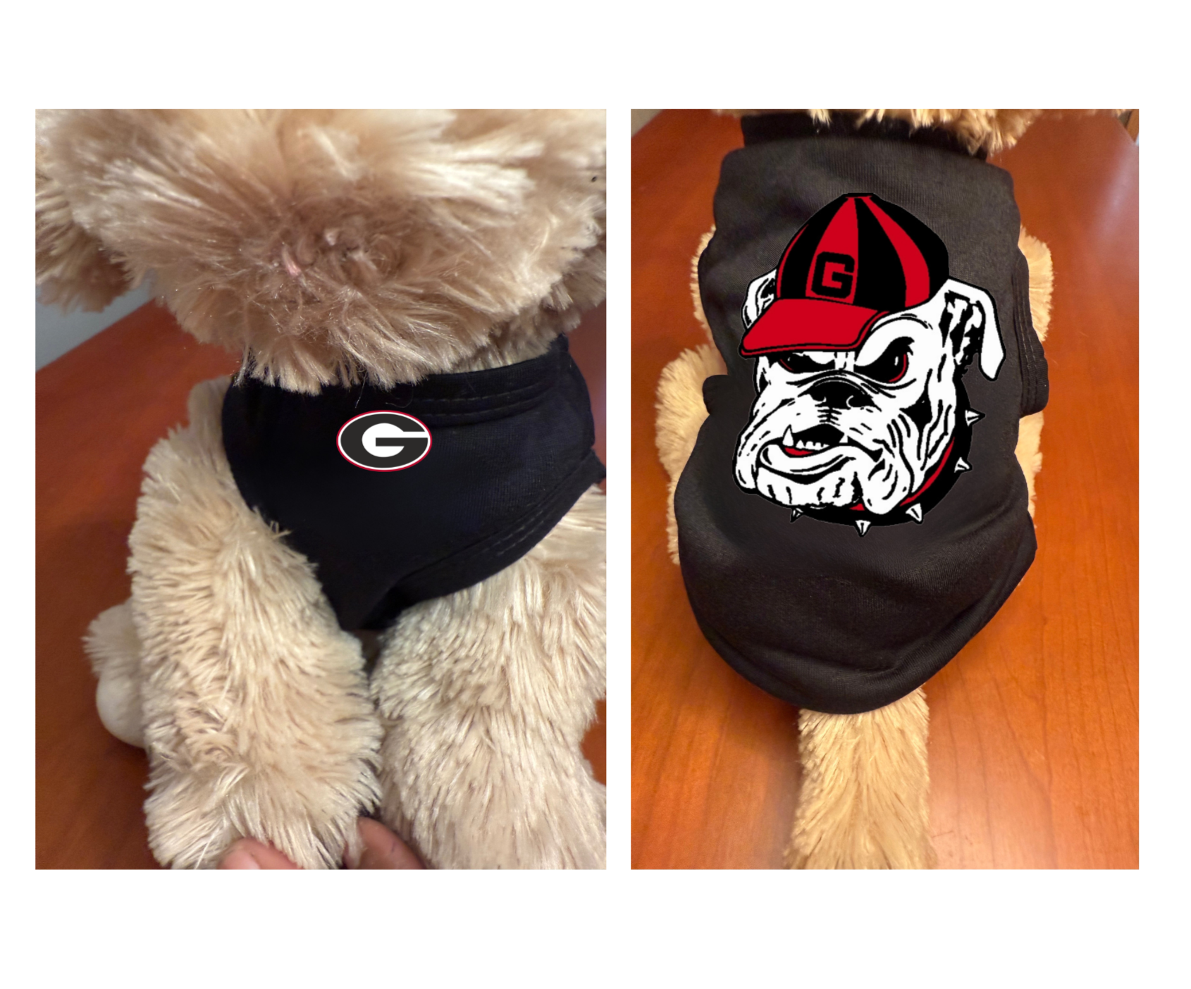 College Football | Dog & Cat Shirt