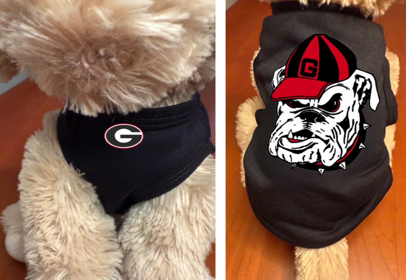 College Football Dog or Cat Shirt for Pet Lovers