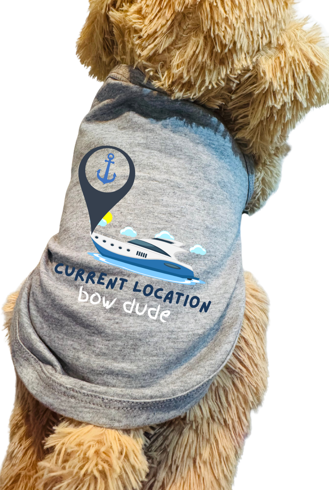 Current Location | Dog Shirt