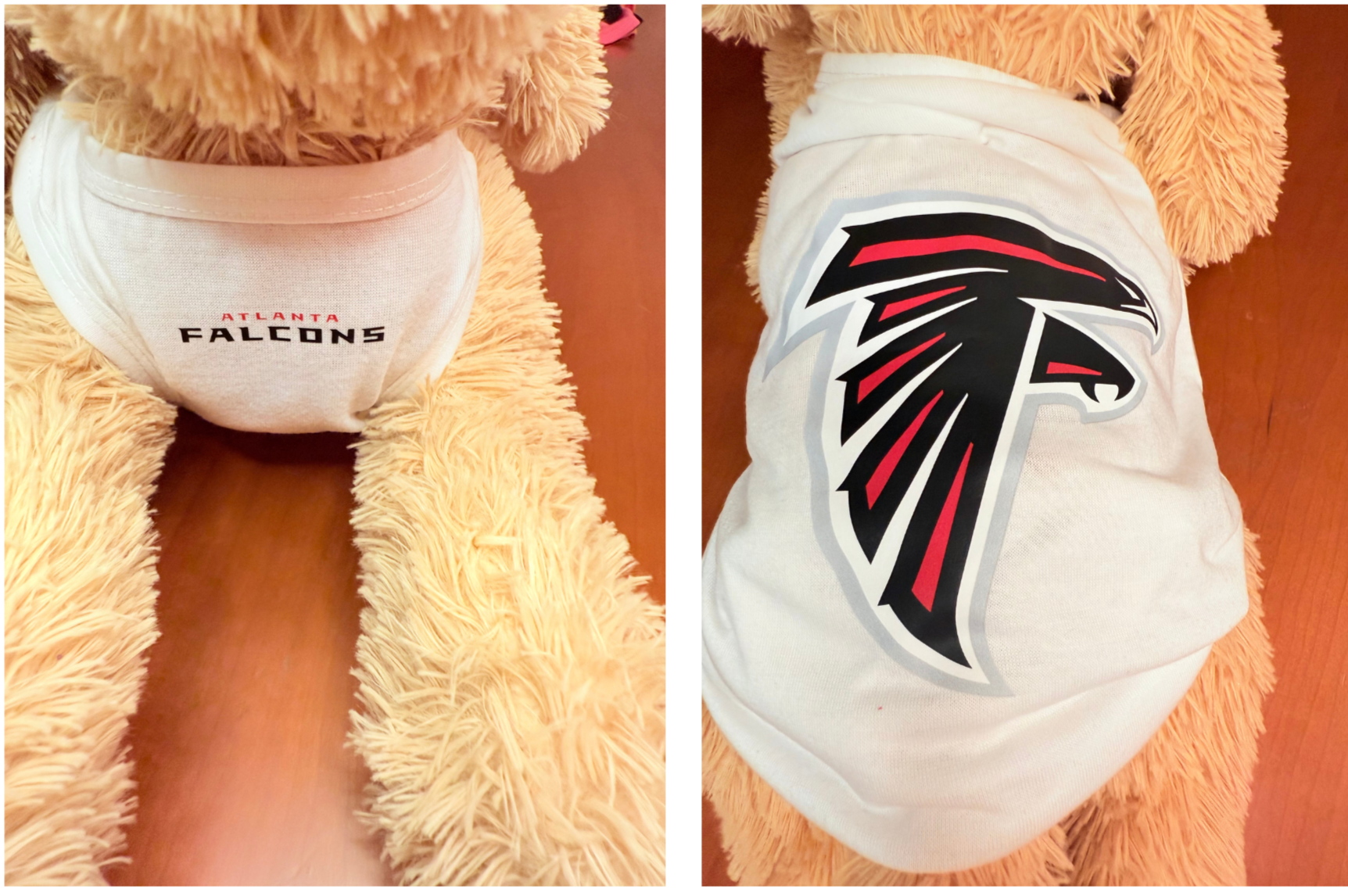 NFL Teams | Dog & Cat Shirt