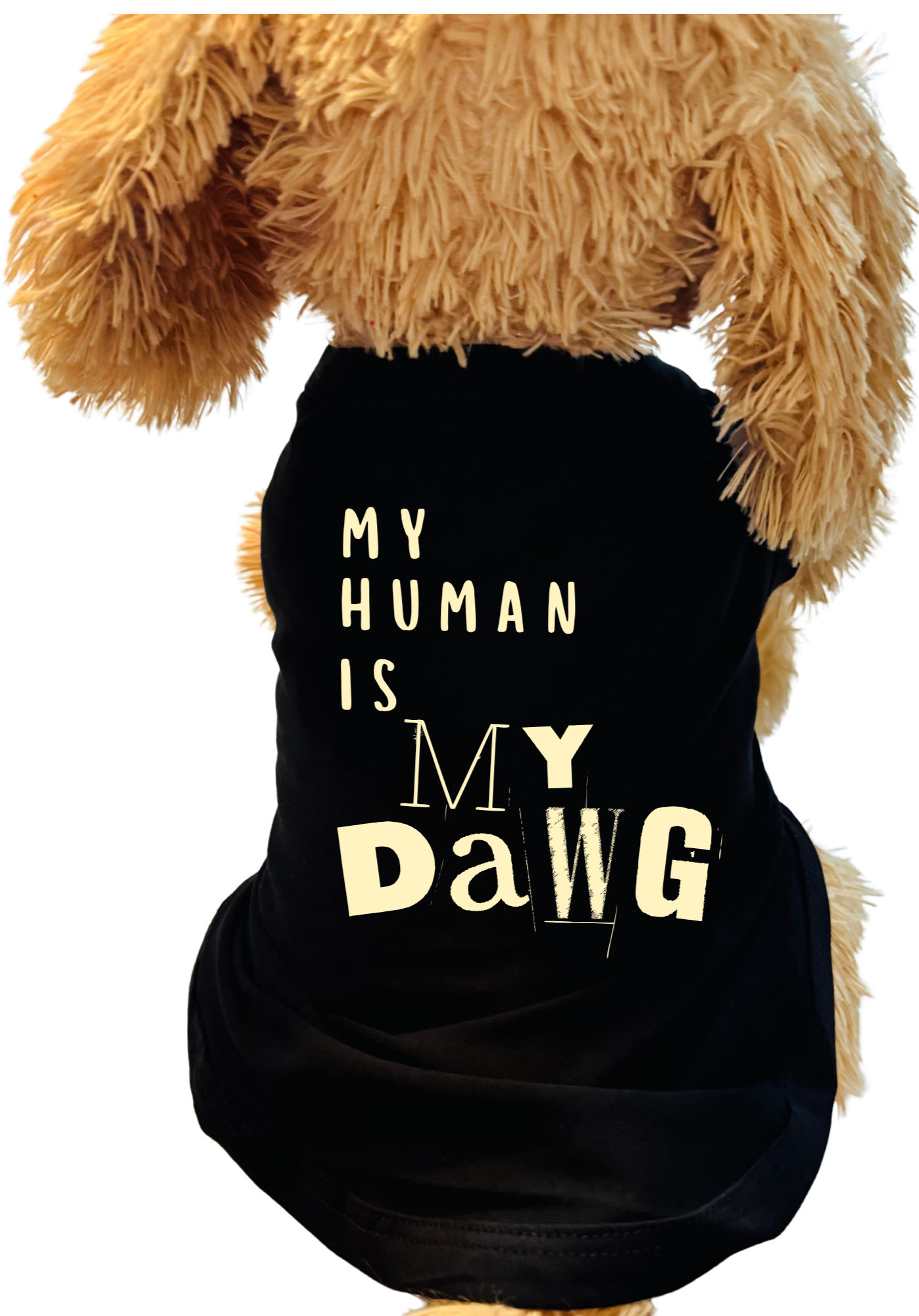 Funny dog shirt My Human is my Dawg graphic designed for dog lovers