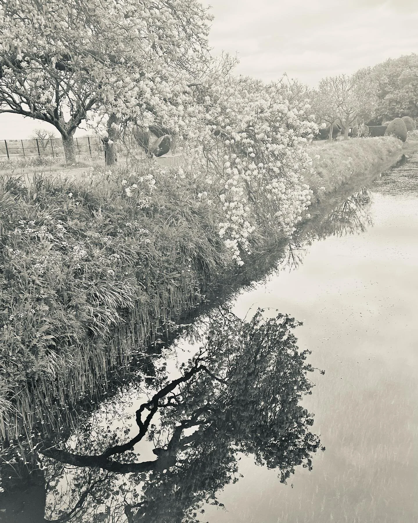The light today at Helmingham Hall made it feel as though time was frozen and each scene had been painted. I had wanted to visit this garden for a while and it was fun to analyse and enjoy discovering it with @beningtonlordshipgardens Beautiful refle