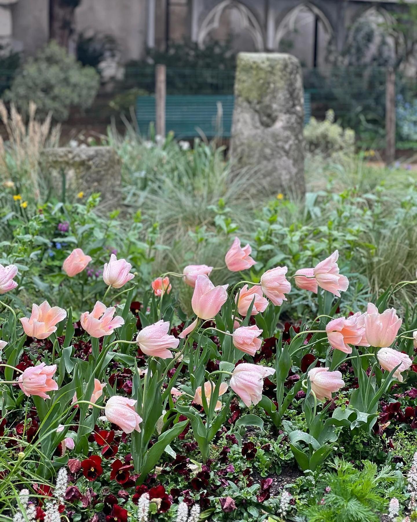 Paris in Spring: all shades of green as a foil for other colours. I could have spent hours @parcdebagatelle one of four Botanical gardens in Paris created in 64 days in 1775 after a bet between the Count of Artois and his sister-in-law, Marie-Antoine