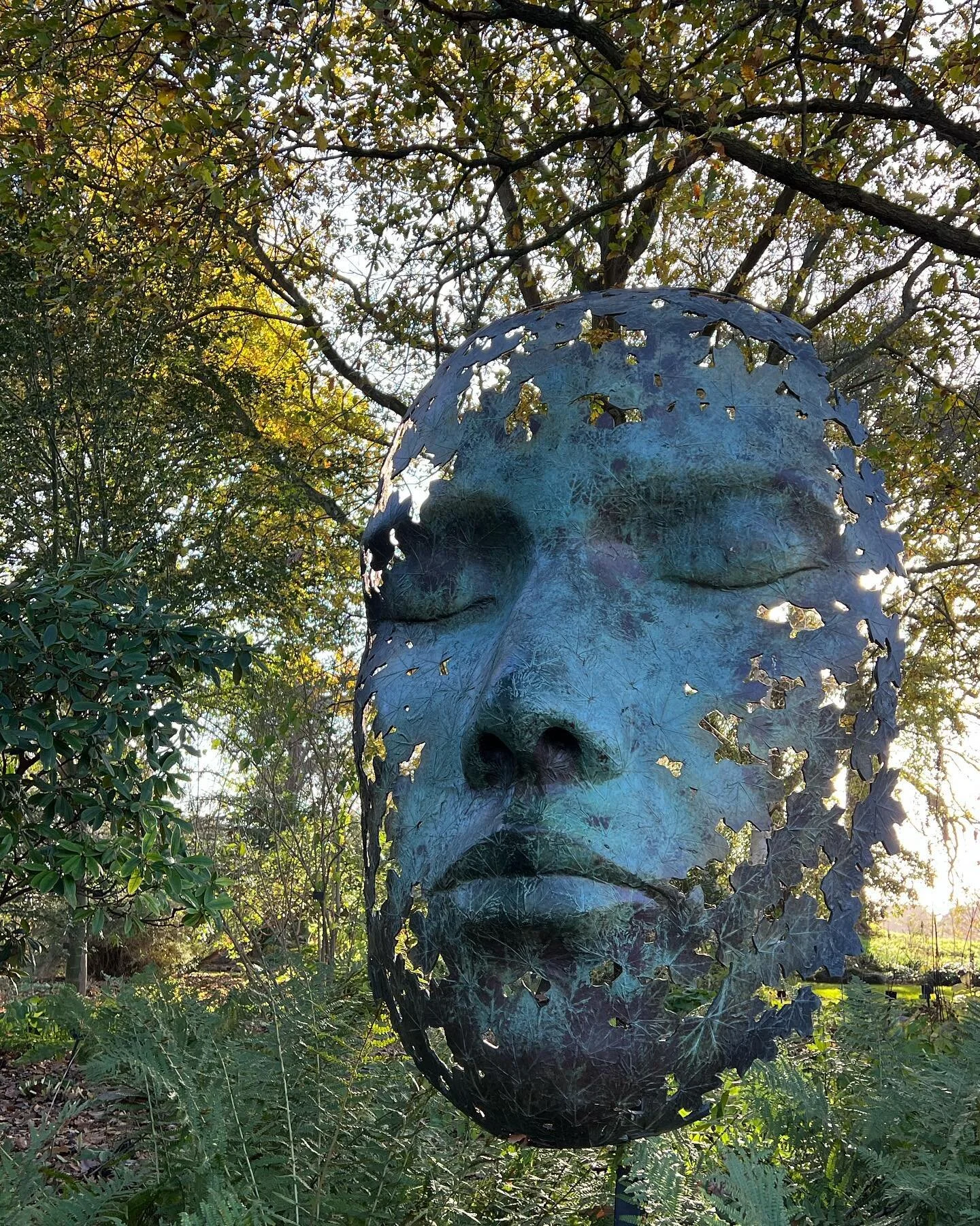 Nearing the end of a construction course @londoncollegegardendesign which has taught me masses. I always love walking through @kewgardens when I’m there. #garden #botanic #design #inspiration