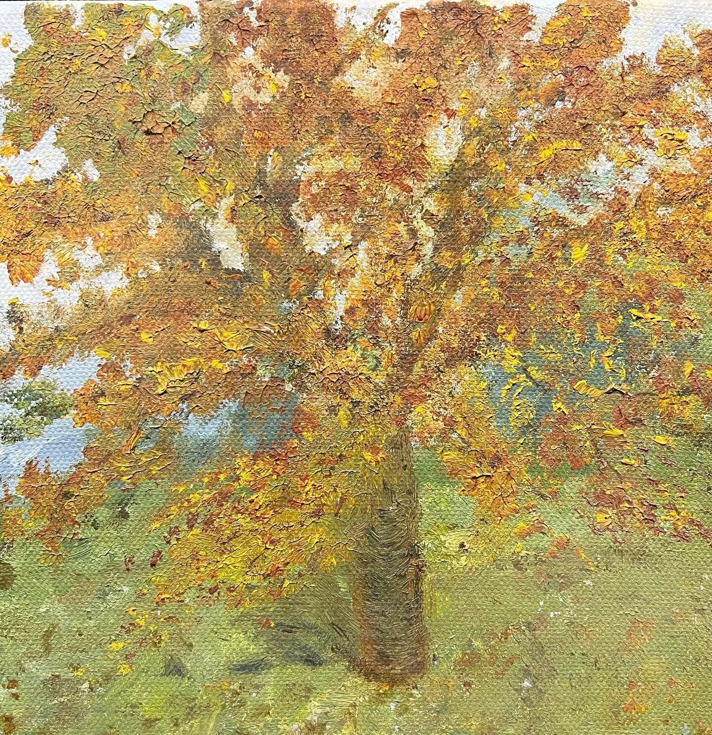 Seasonality: I love the shifts from month to month. All the hedgerows and skies this autumn seem to have been on fire. #landscapes #autumnvibes #garden #landscapelovers