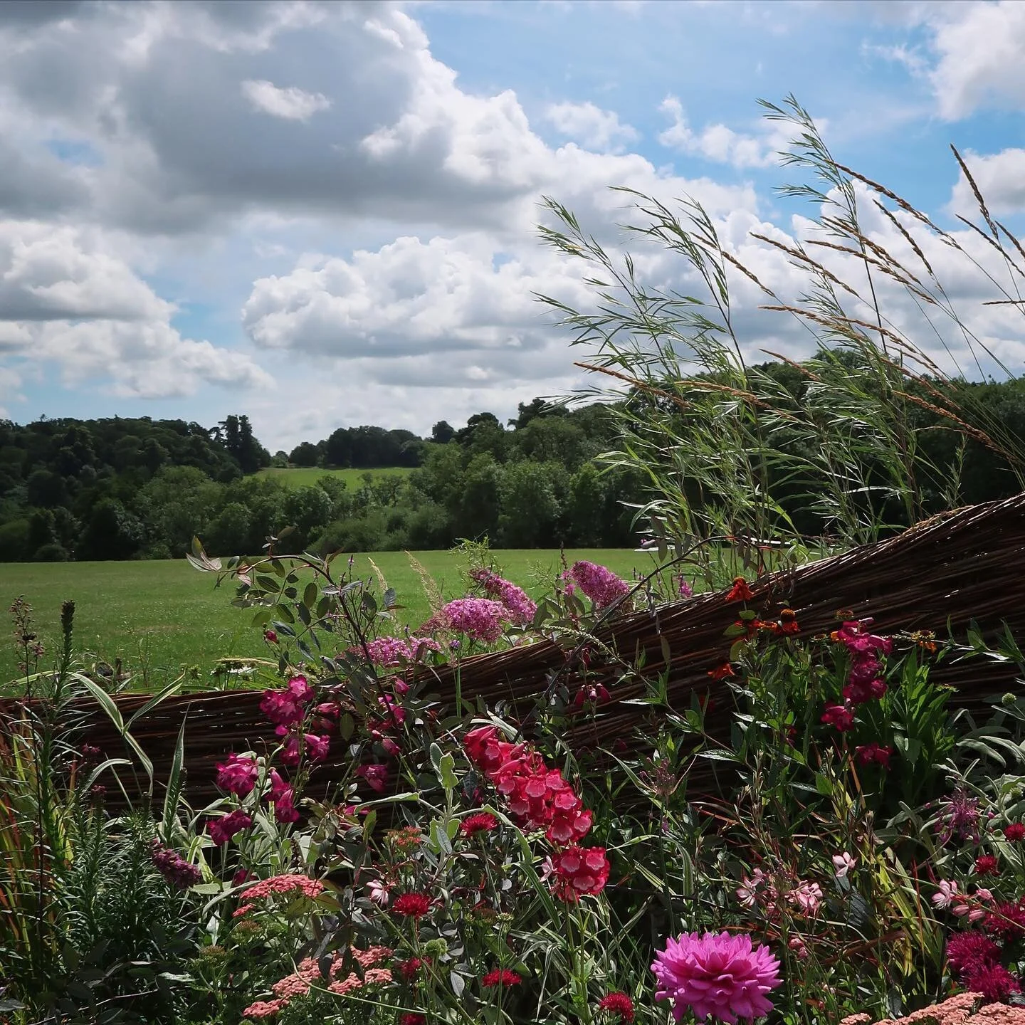 A countryside border at Belvoir Castle last weekend. I designed a curved willow screen to act as the backdrop for planting on either side. Choosing the right combination and balance of willow colours was important in this. A calmer palette near water