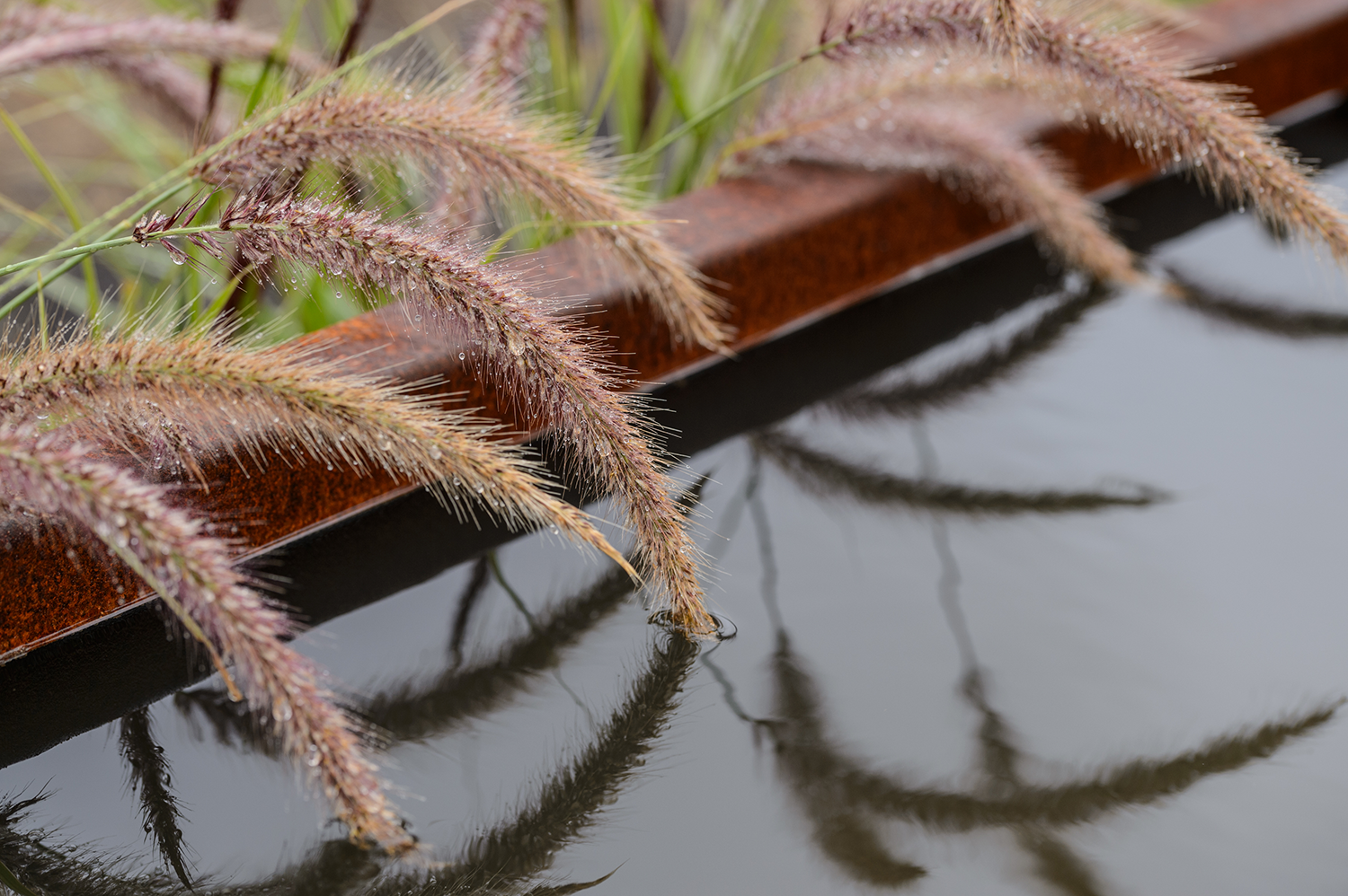 BBC Gardeners' World Autumn Fair