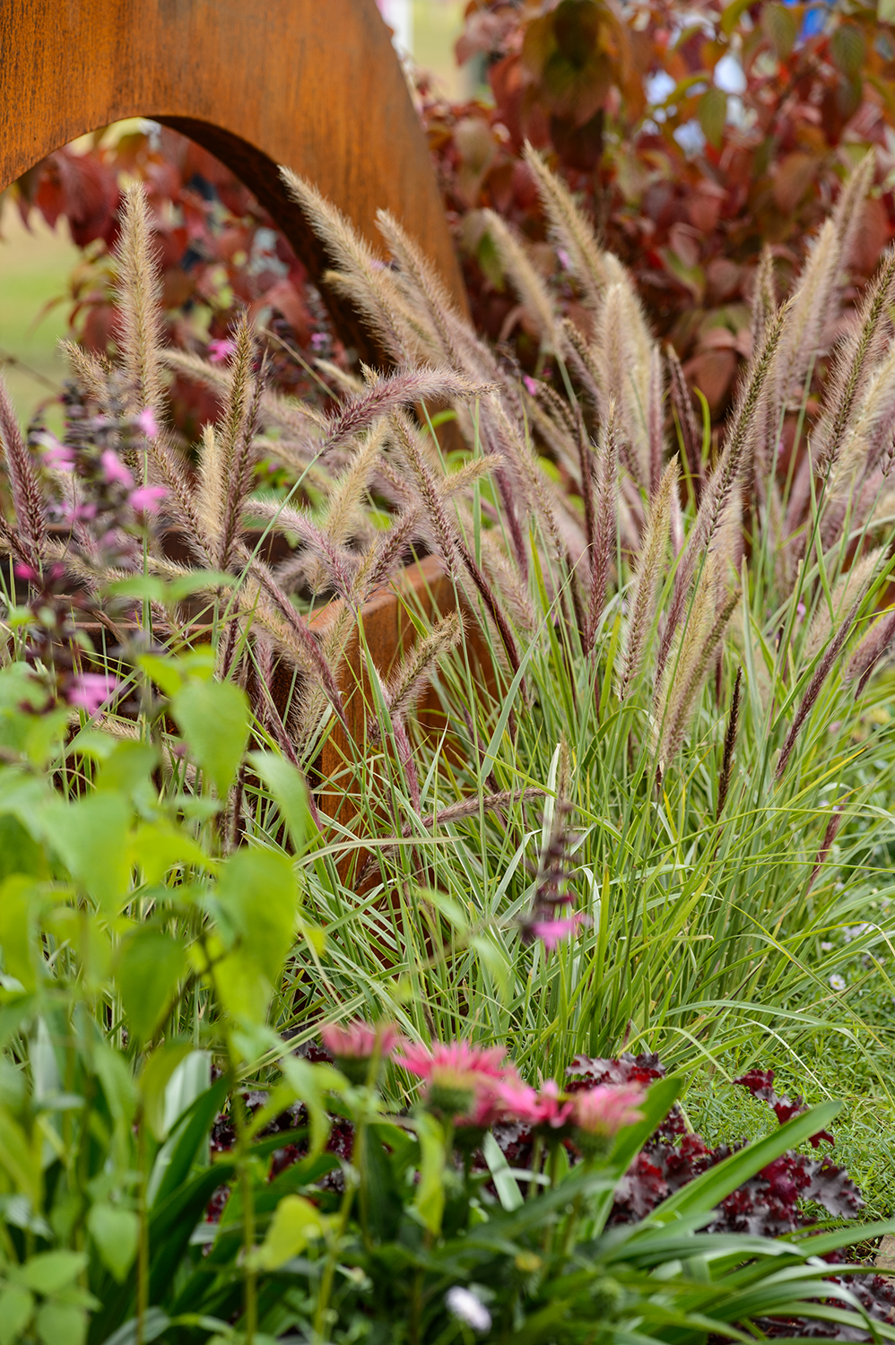 BBC Gardeners' World Autumn Fair