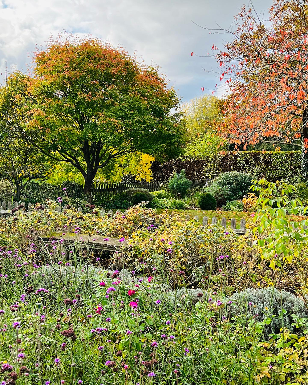 Hertfordshire Garden