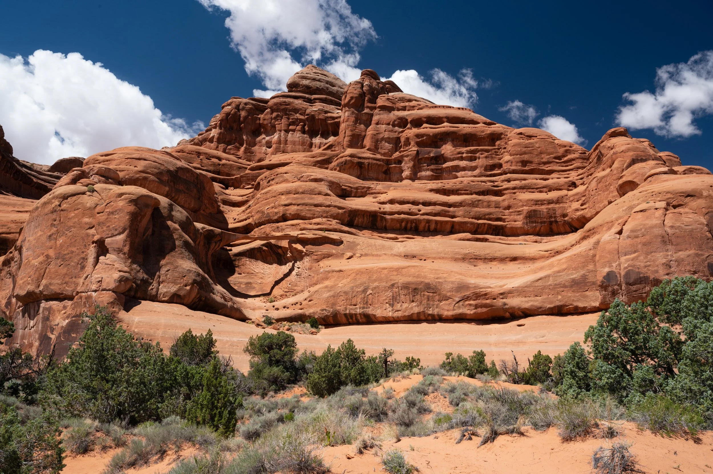 The hike up Cottonwood Canyon to the Ring Arch