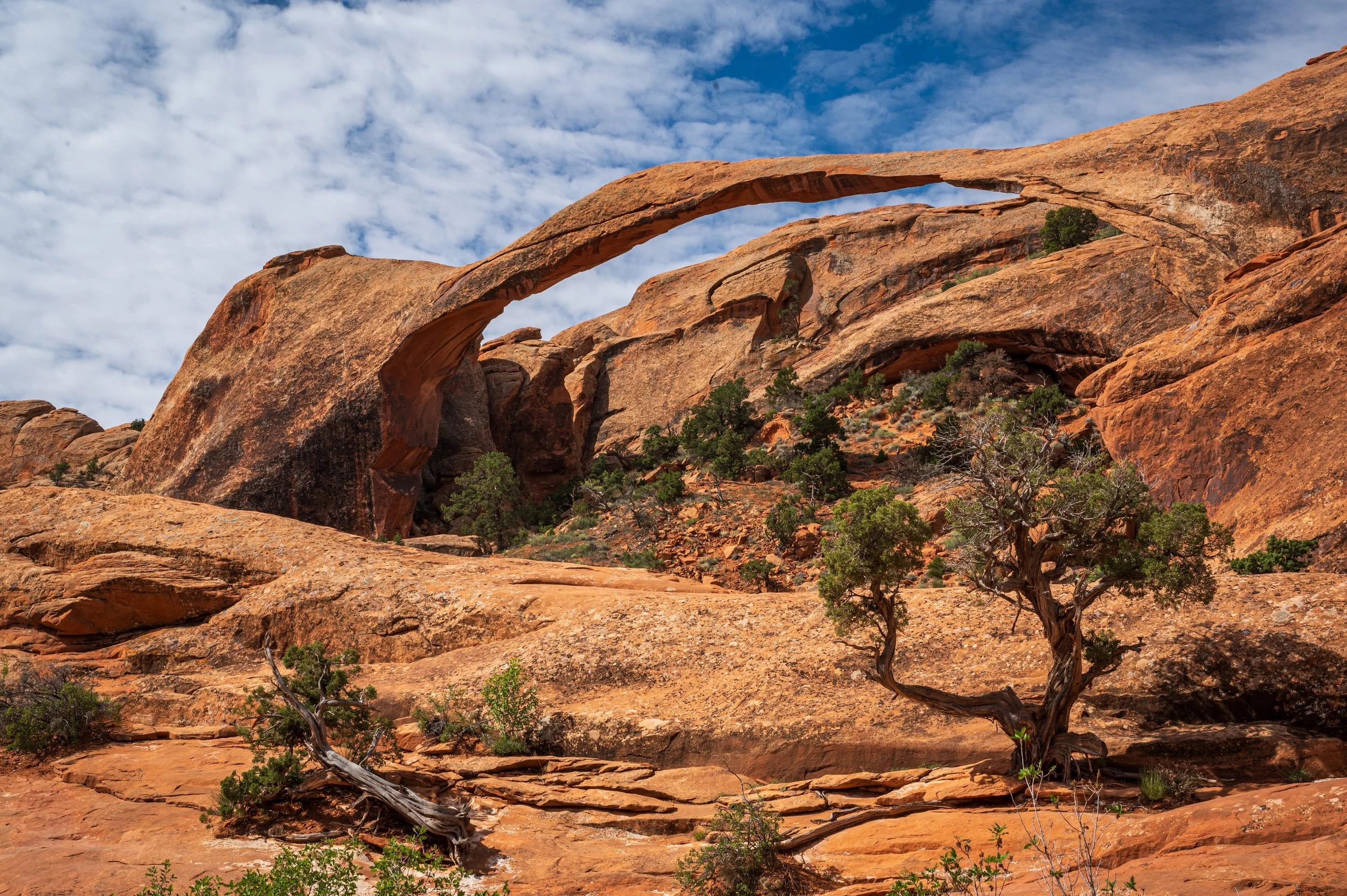 Landscape Arch