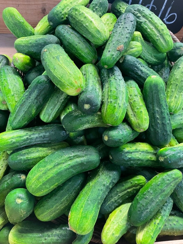 image4.jpeg
