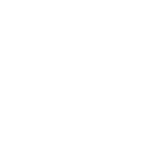 A&amp;N Services