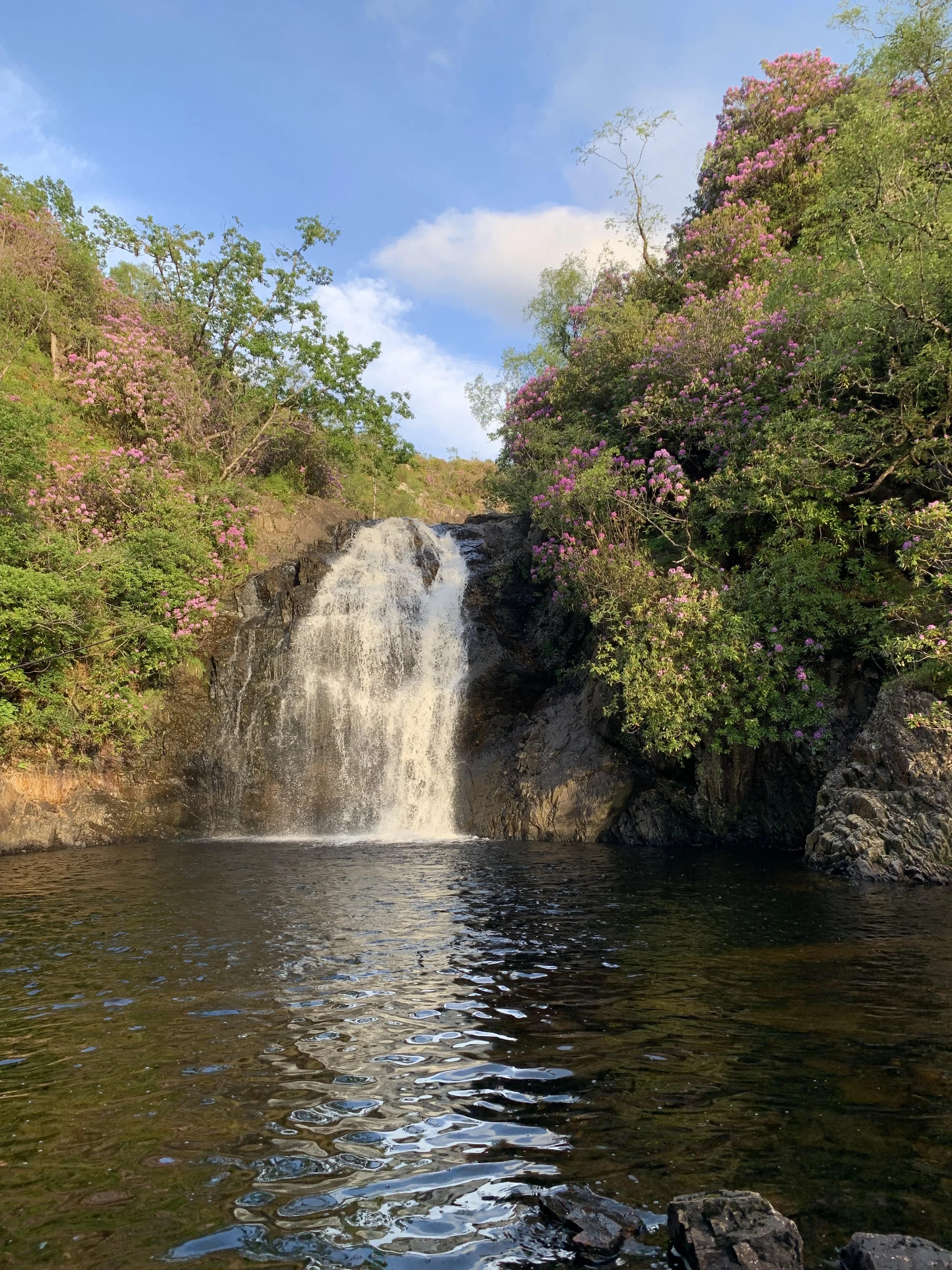 A waterfall flowing into a dark pool surrounded by lush green trees and pink flowering bushes under a partly cloudy sky.