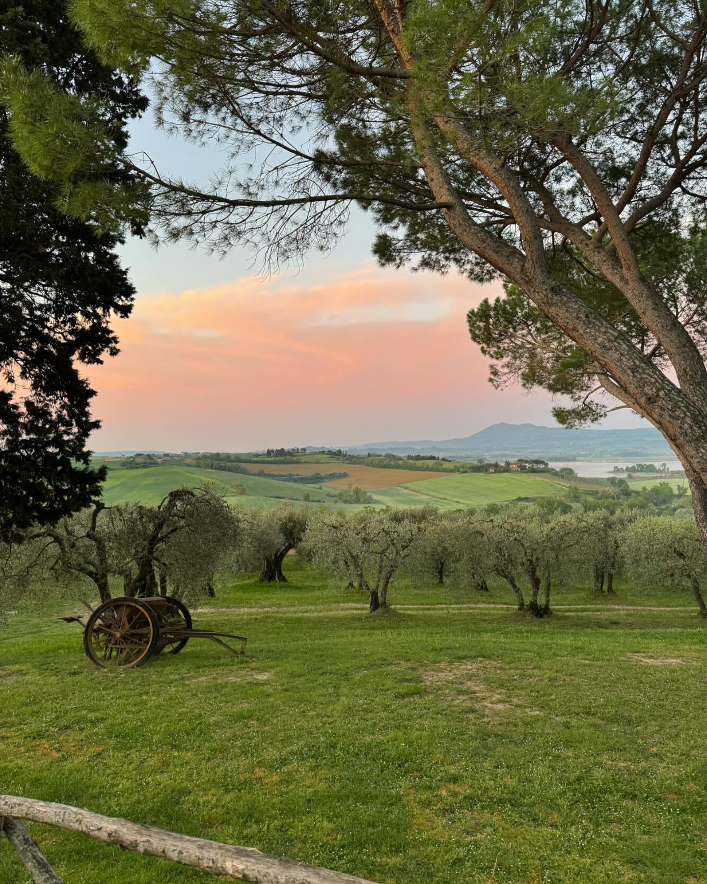 Now I know why the masters were inspired by Tuscan landscapes @villacozzano 🕊️ 

Thank you Manuel, Jimmy, Sophie, Geraldine &amp; Thomas for our very special visit. Ci vediamo presto!