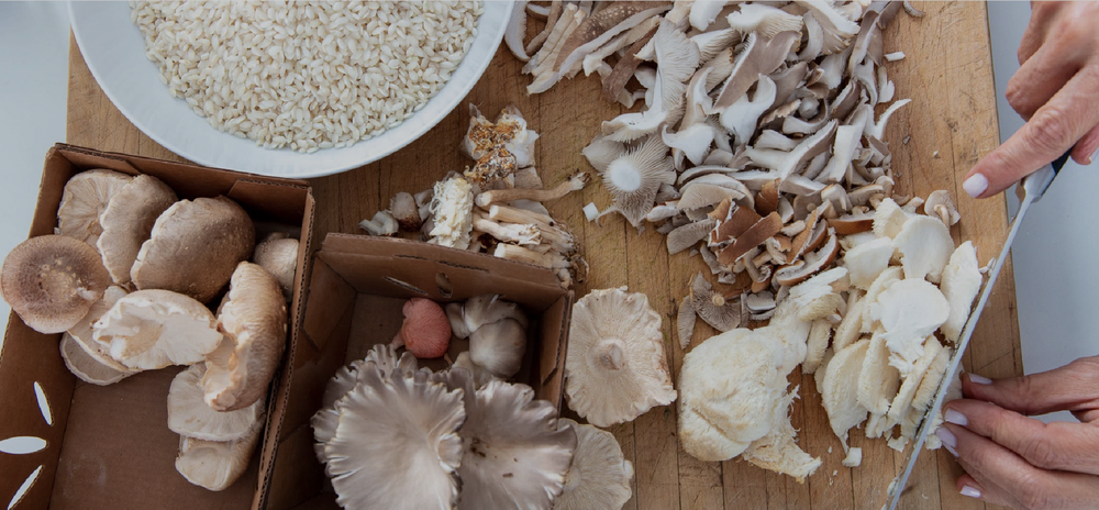 SUBSCRIBE — Caroline Somers