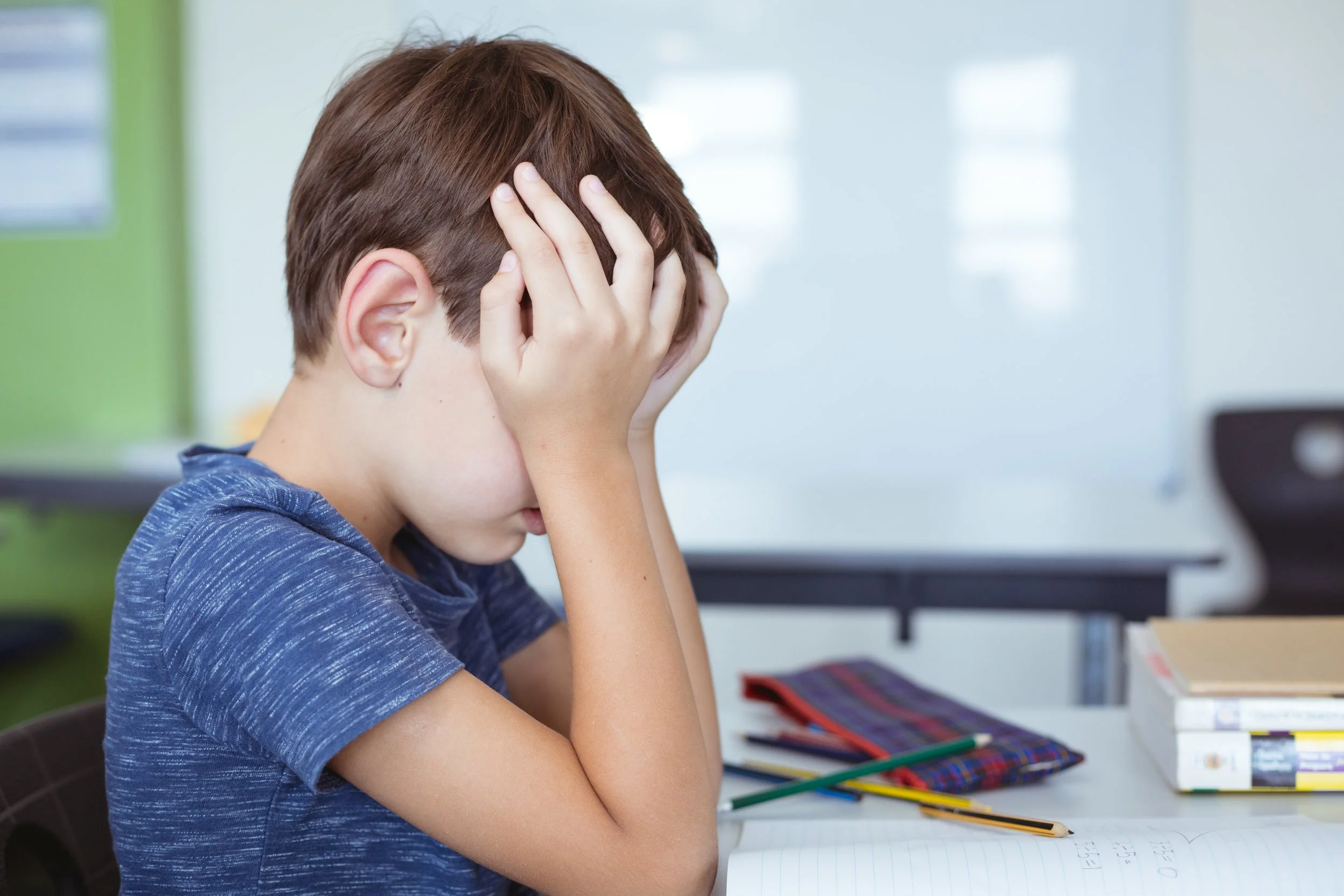 Emotional Regulation: Why Big Feelings Get in the Way of Learning