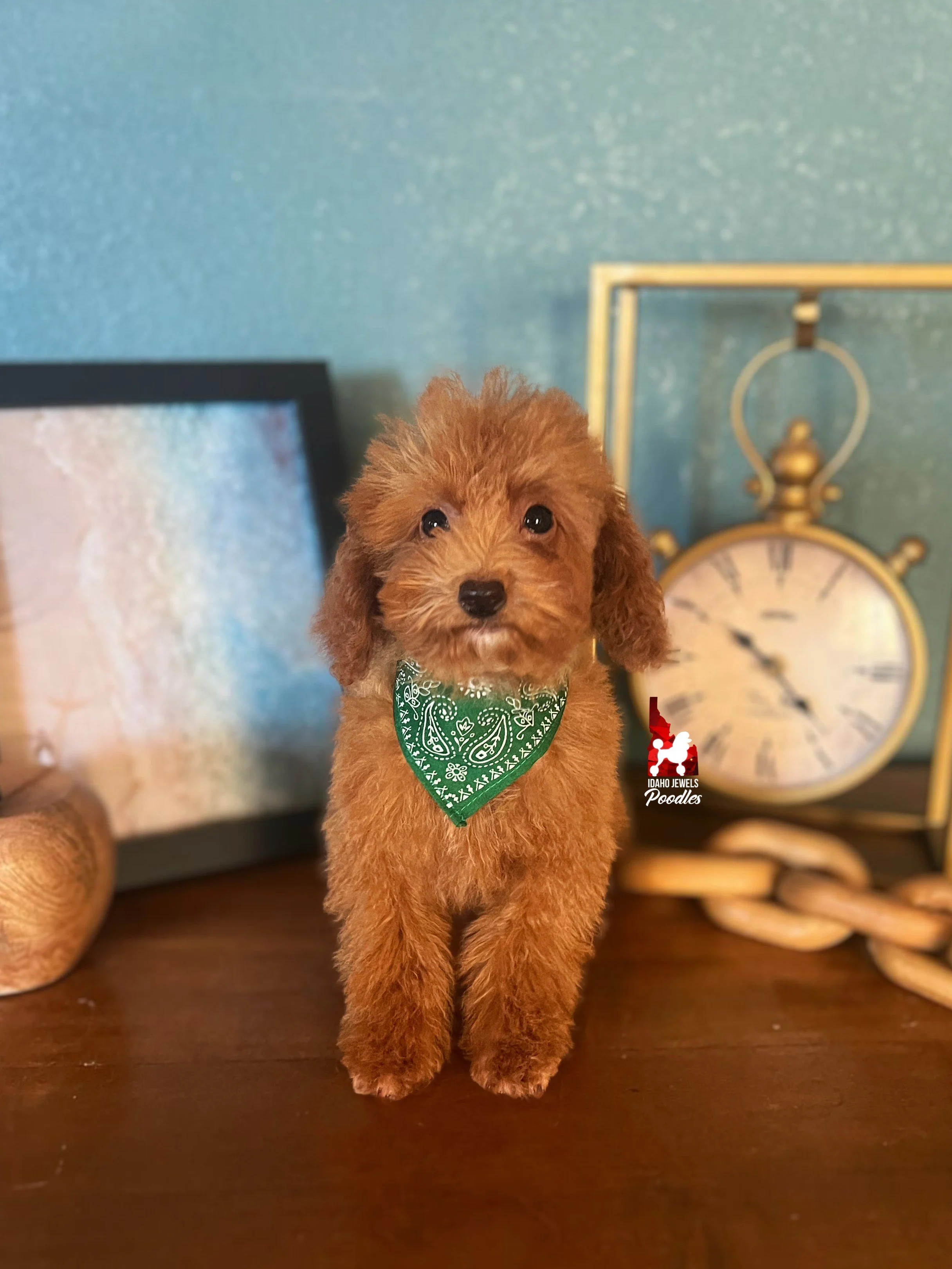 Boone, Red Toy Boy