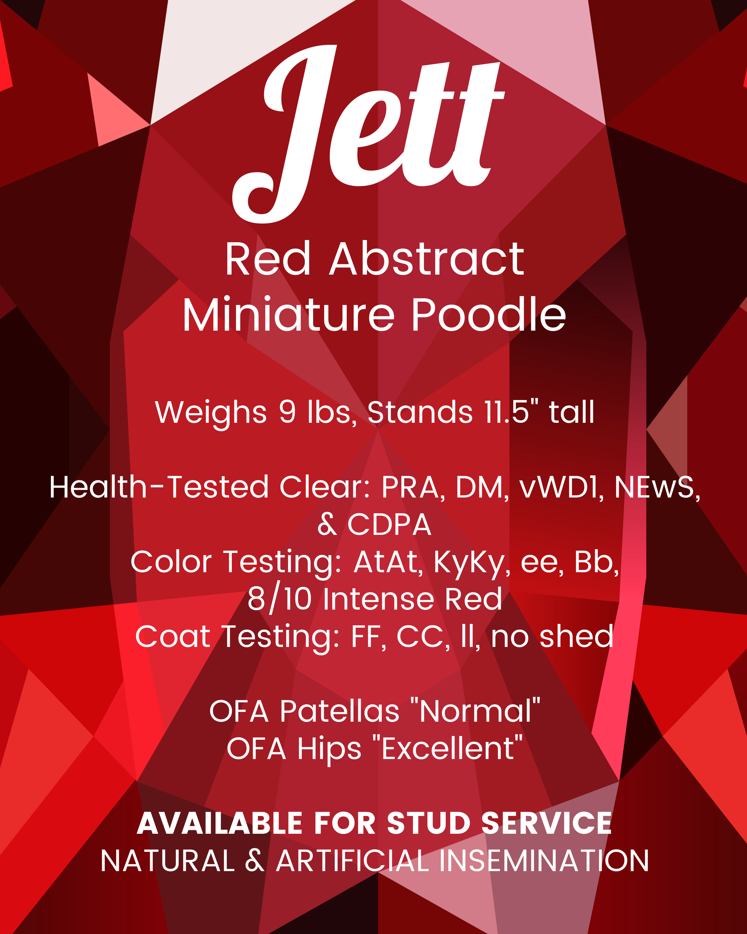 Jett info 2025.png