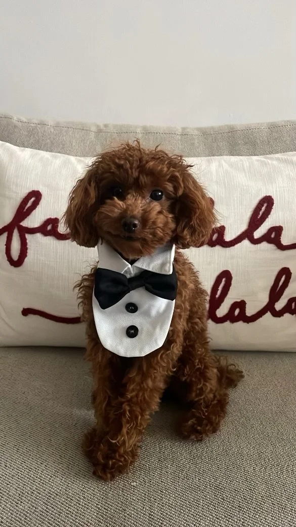 Melodee Thor Solo nka Teddy December 2023.jpeg