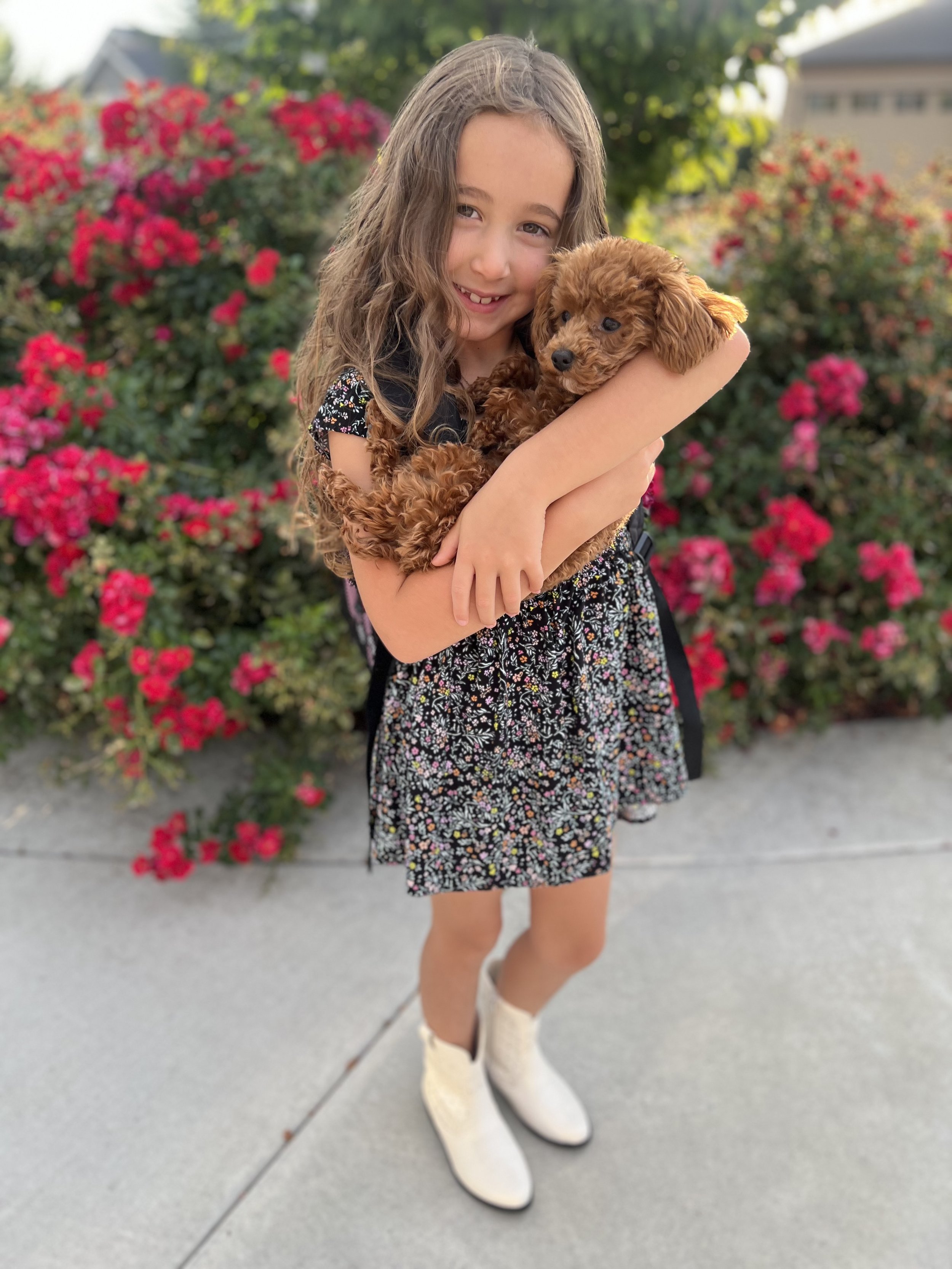 Olivia Zion S23 Cannoli  (2).jpeg