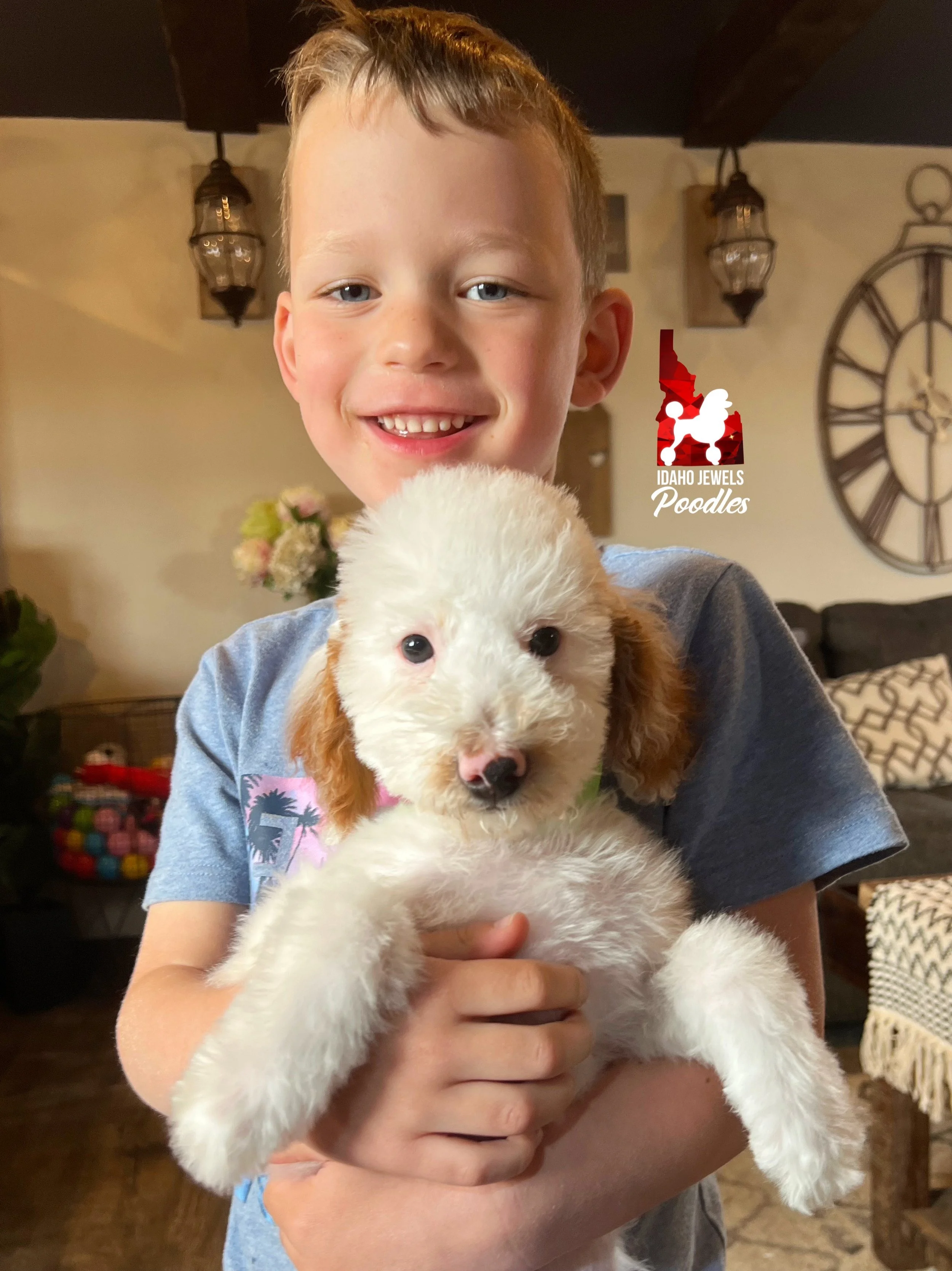 Bailey - 12 wks with Hayden.jpg