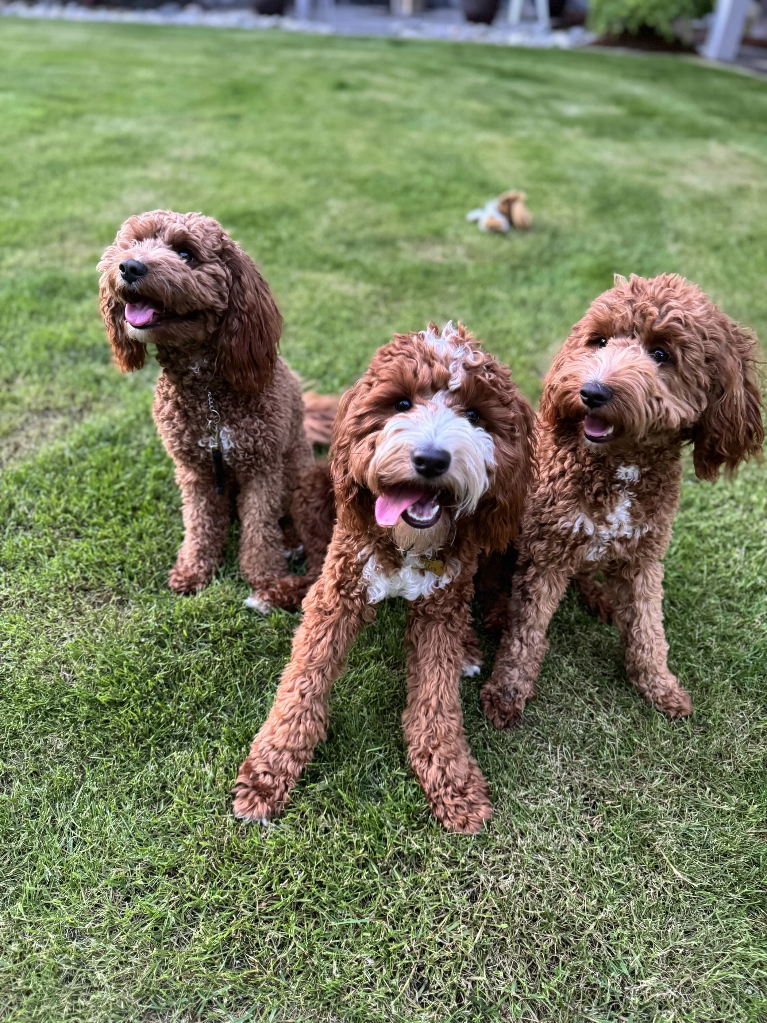 Quinn Rover trio reunion, may 2024.jpeg