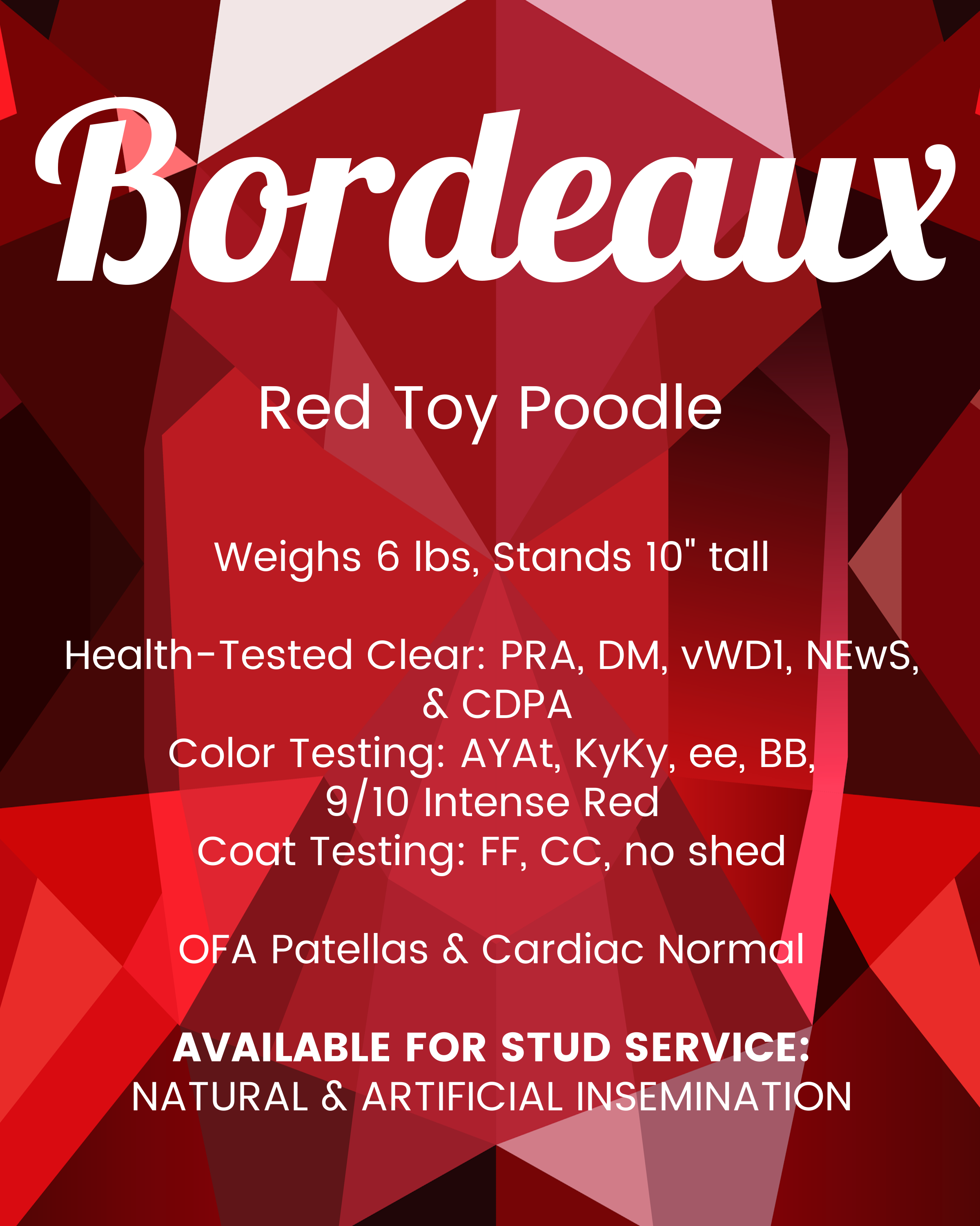 Bordeaux info 2026.png