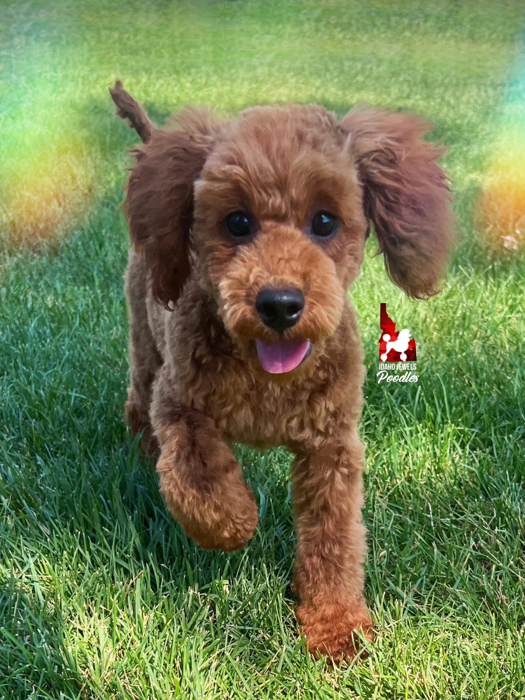 Mario - 20 wks-2.jpg