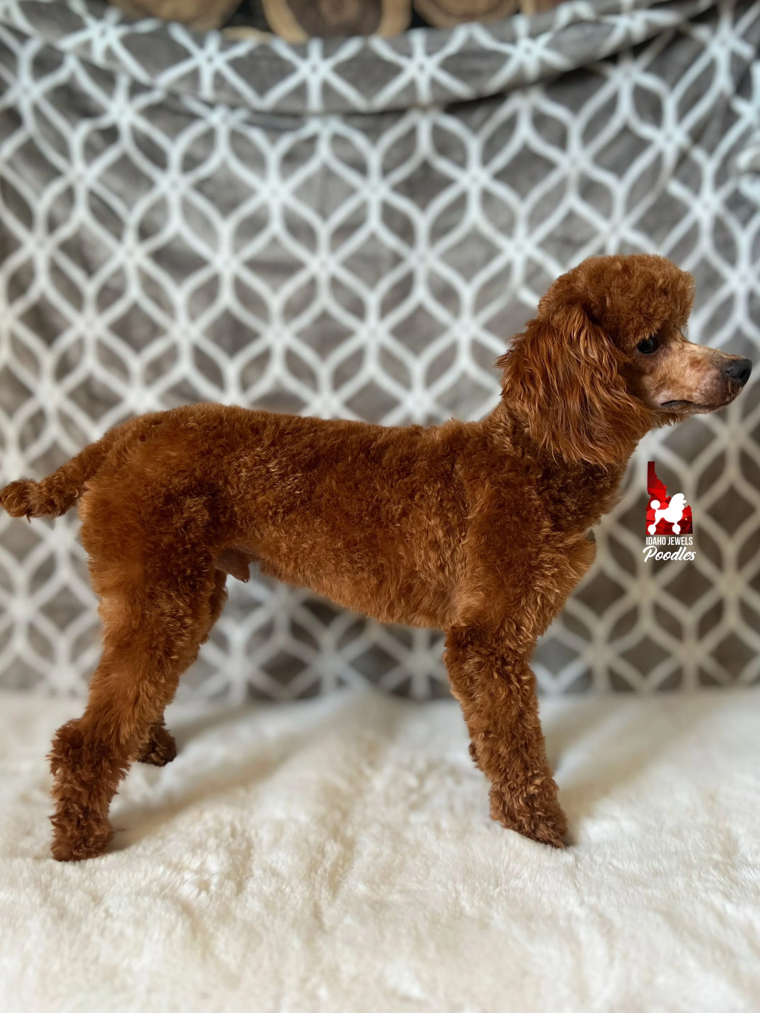 Crumble side shot (shaved) (1).jpeg