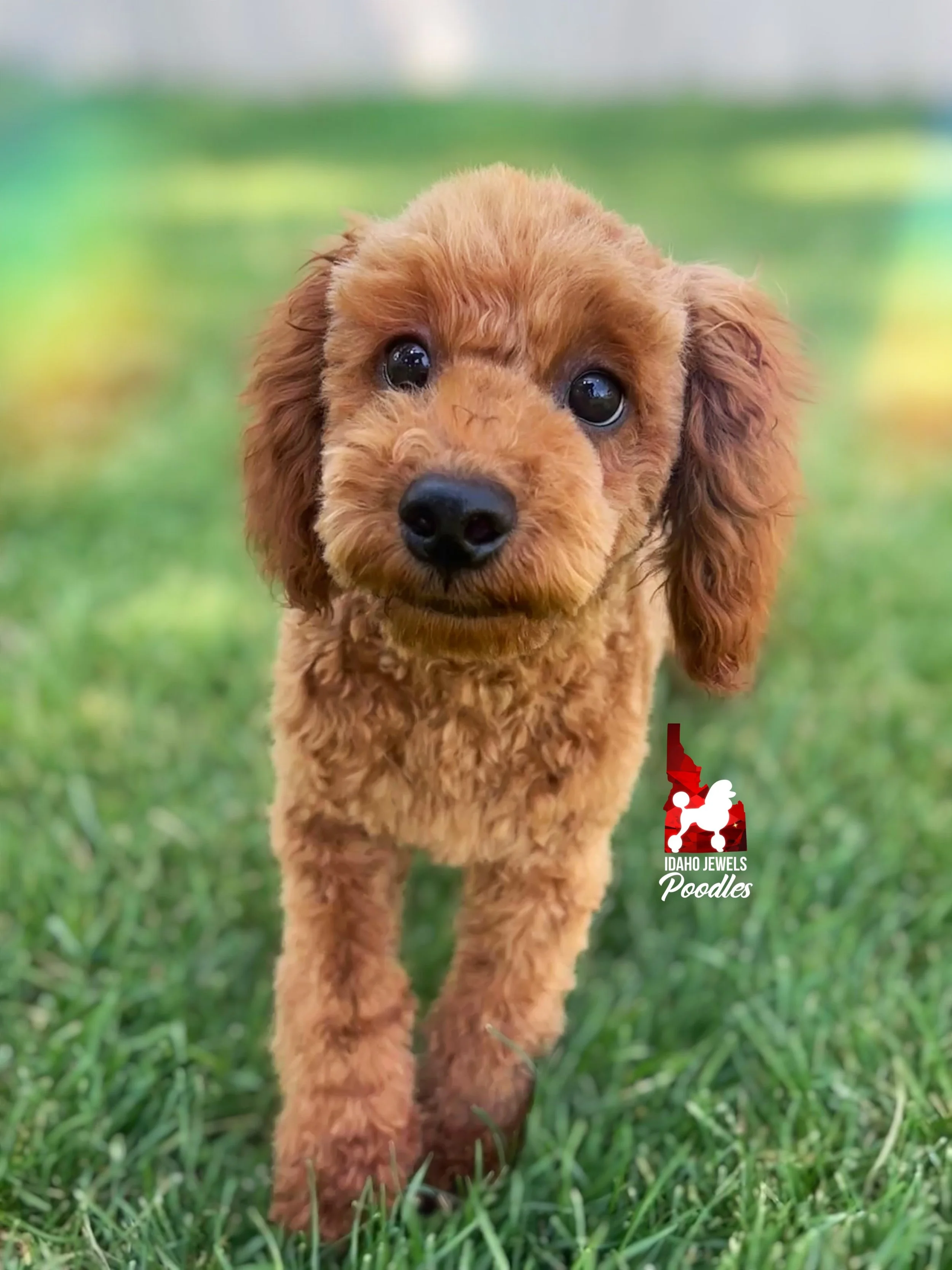 Mario - 20 wks-3.jpg