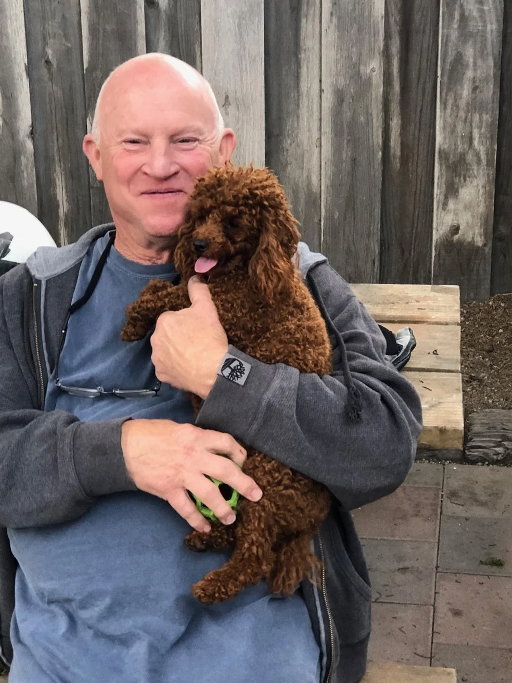 Savannah Boomer boy fka Jesse nka Brady owned by Carmen Sheldon.jpeg