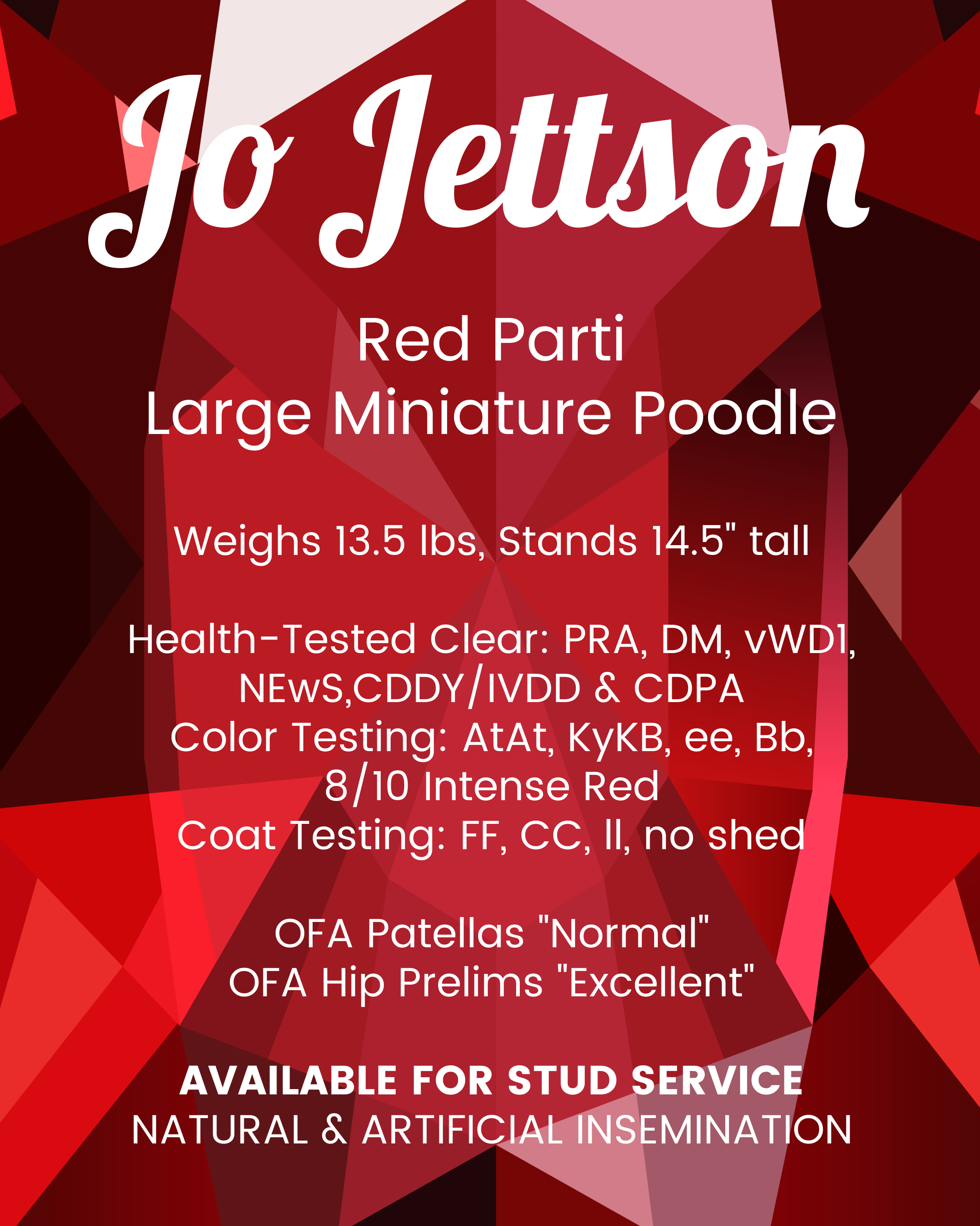 Jo Jettson info 2026.png