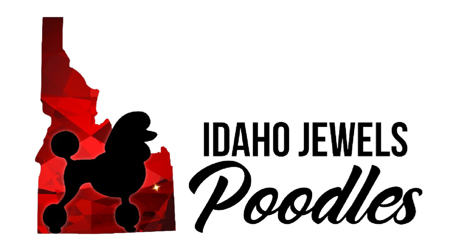 Idaho Jewels Poodles