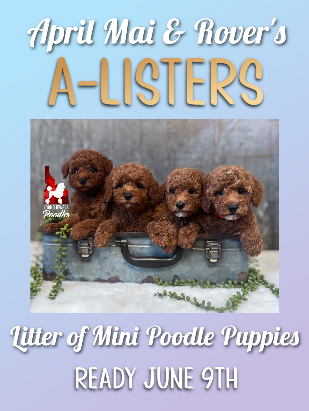 A-Listers Group.png (Copy) (Copy) (Copy)