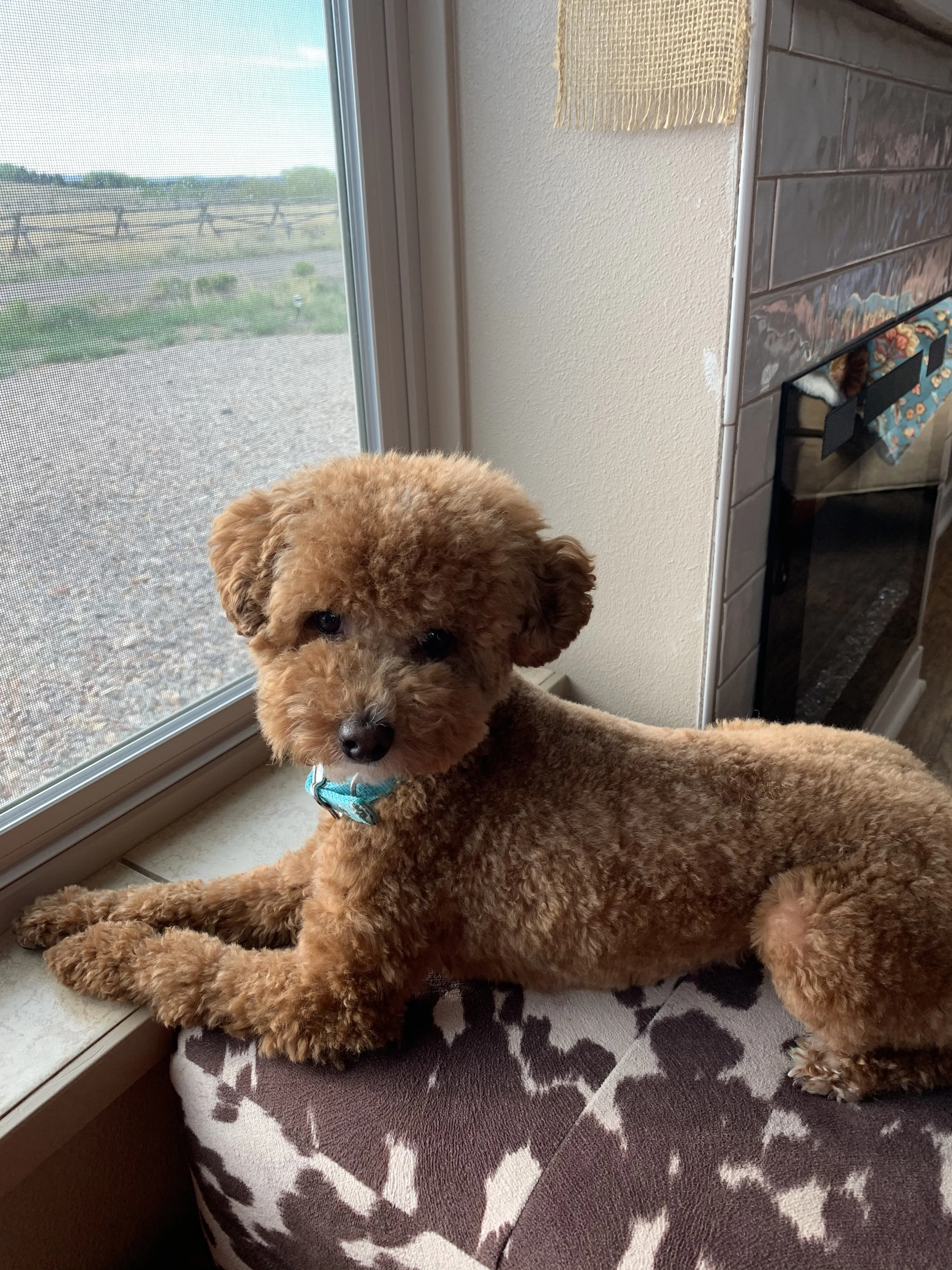 Raelynn Murphy W20 now owned by Jim Copeland.jpeg