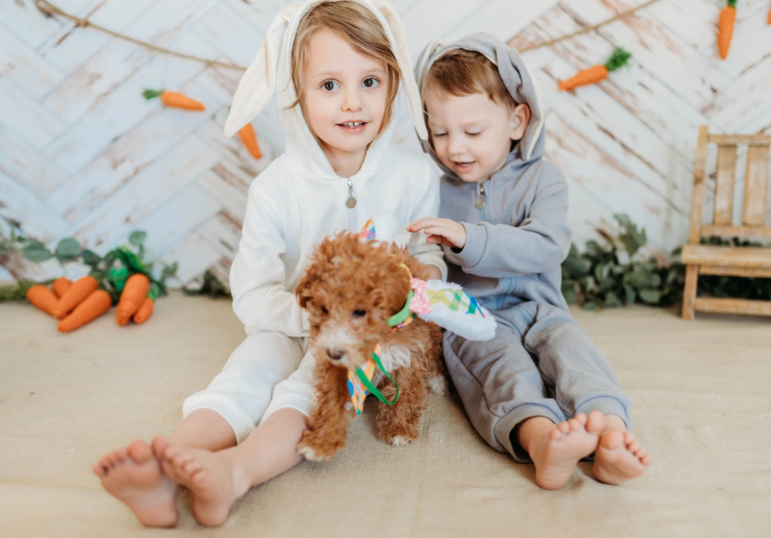 Pink Jett puppy Piper Kimberly Harsoch (5).jpeg